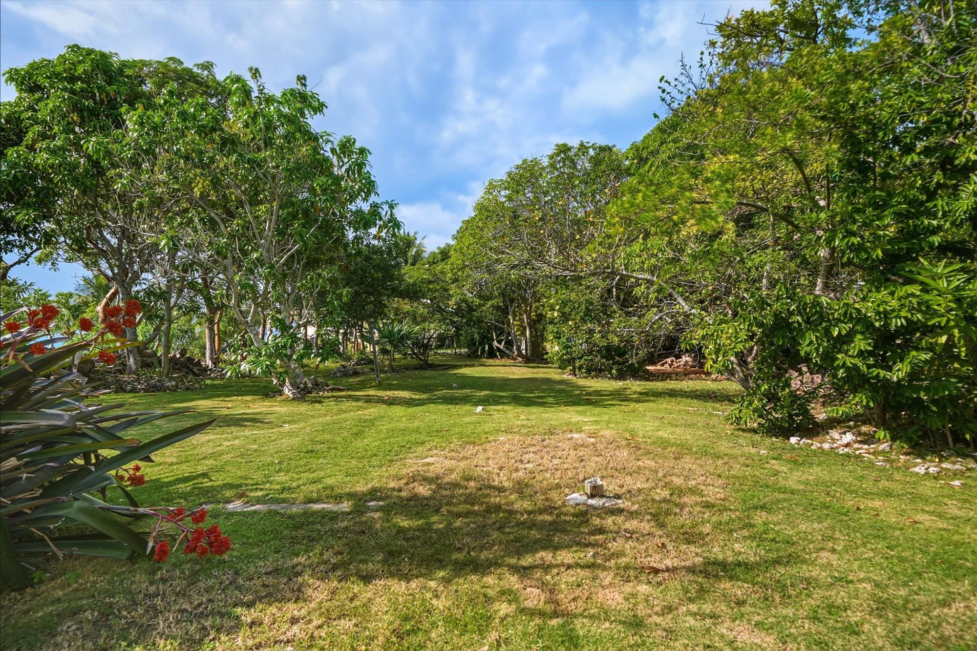  Oceanfront Retreat - 物件實景