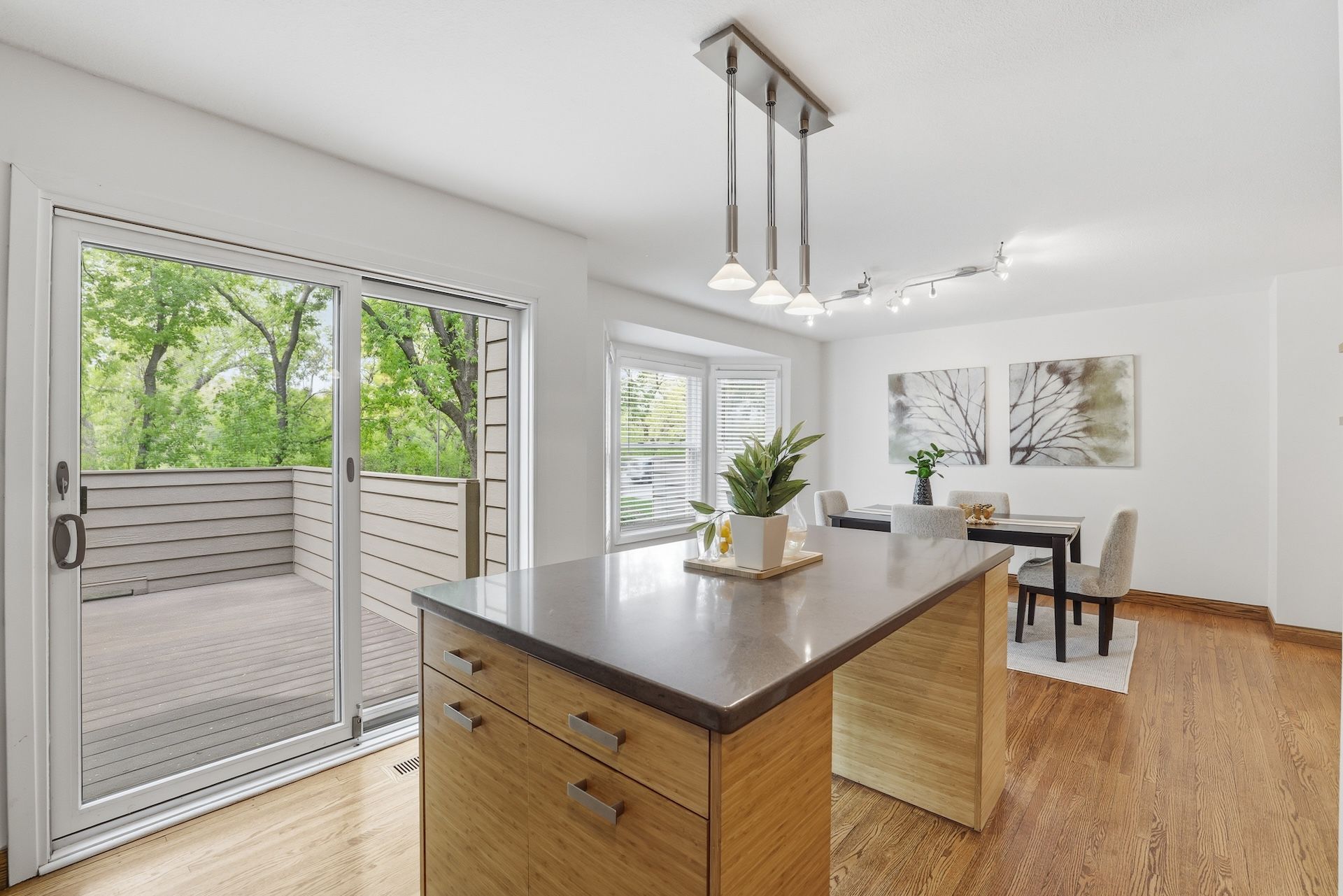  Renovated Townhome with Panoramic Views of Cedar Lake - 物件實景