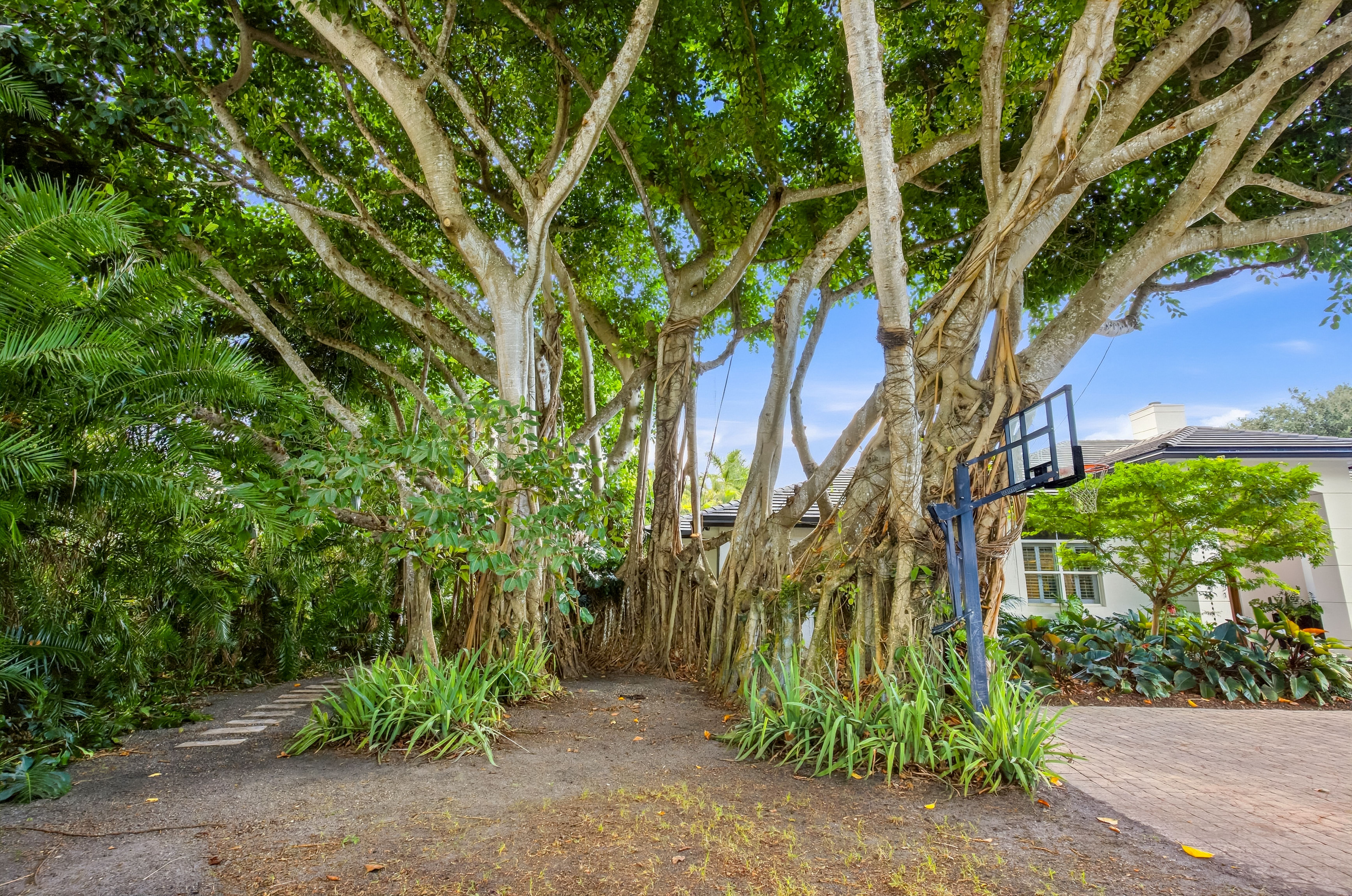  6951 SW 94 St, Miami, FL, 33156 - 物件實景