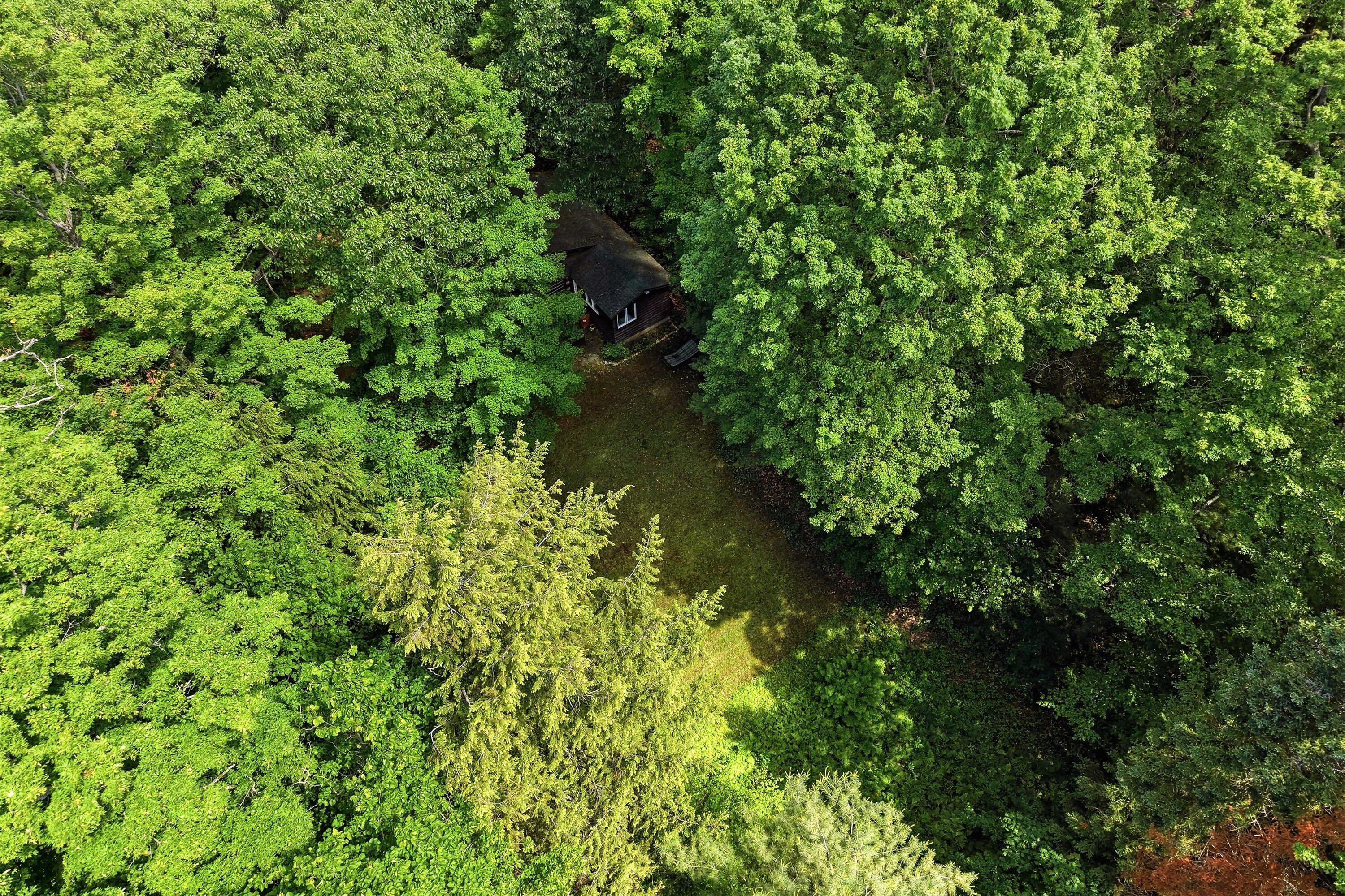  Refined Muskoka Tradition - 物件實景
