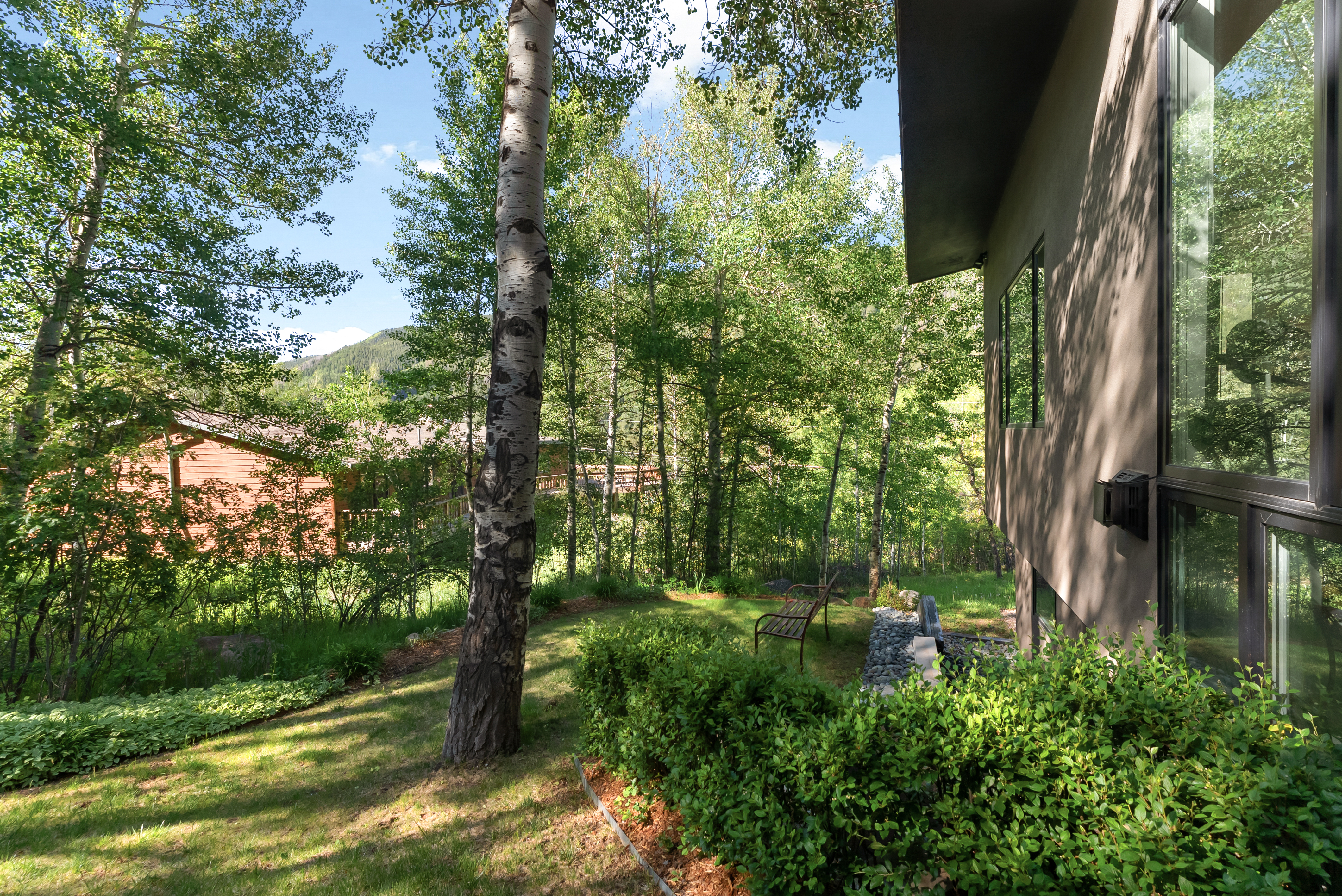  257 Mountain Laurel Drive, Aspen, CO, 81611 - 物件實景