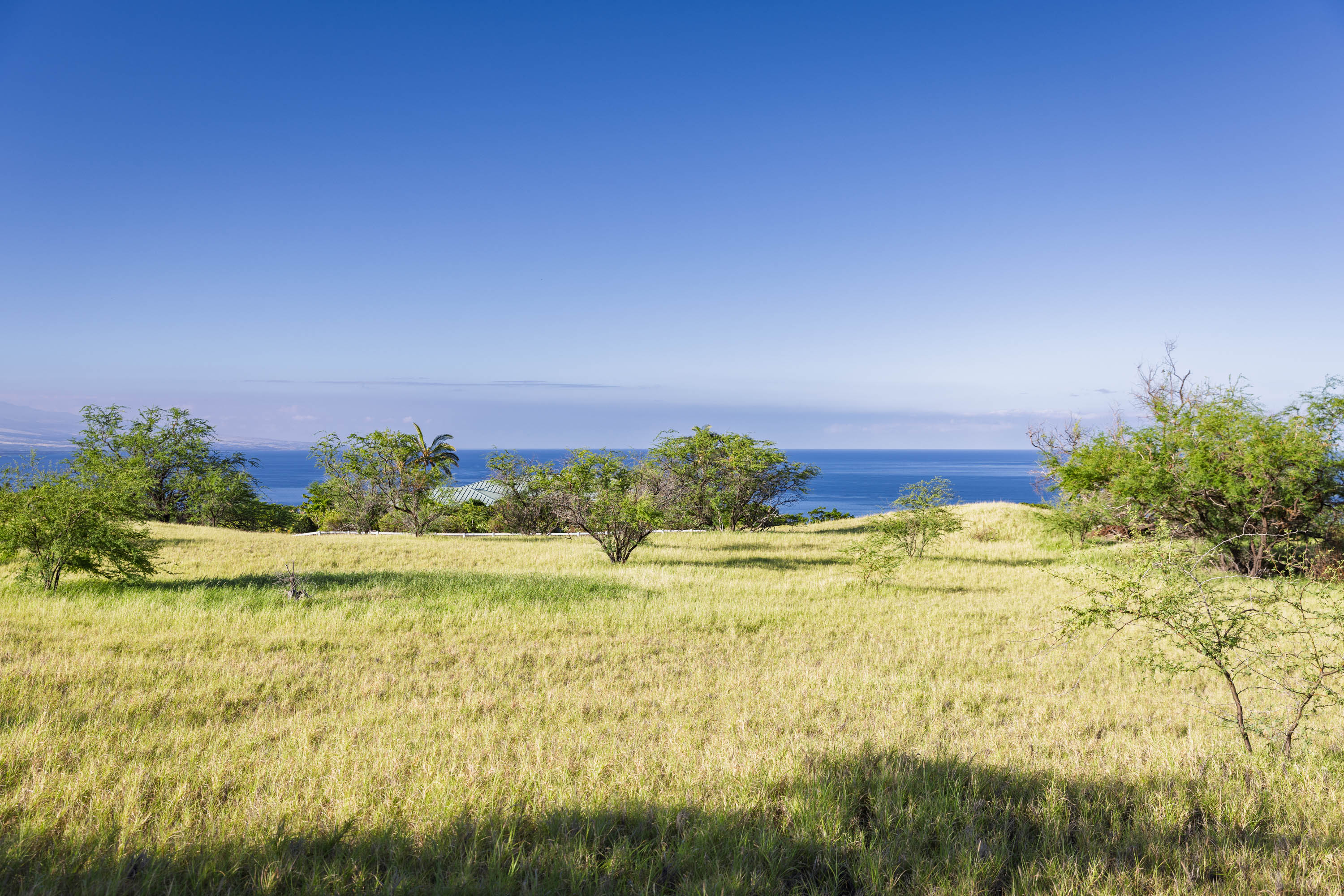  59-670 Kaala Road, Kamuela, HI, 96743 - 物件實景