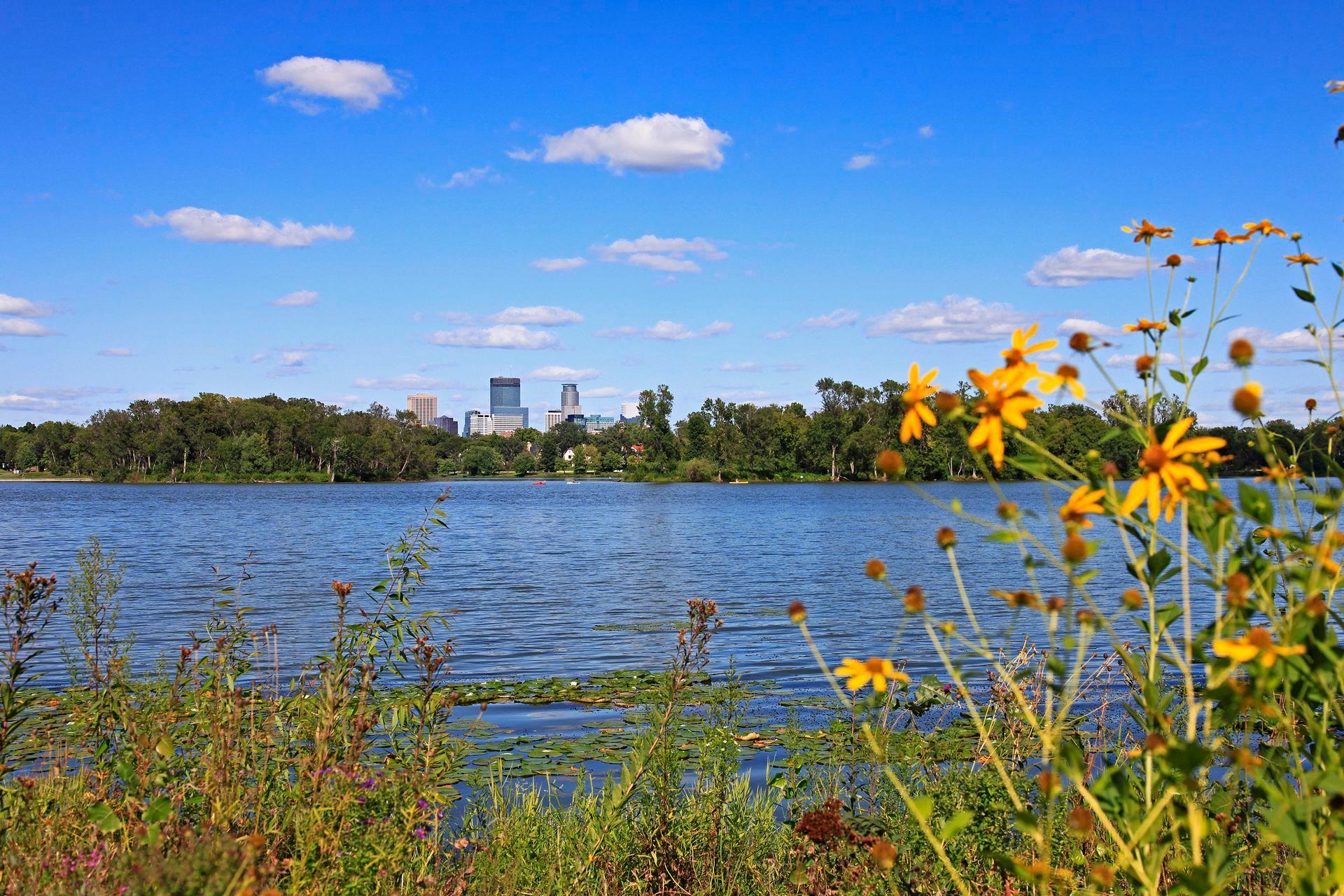 Minneapolis, Minnesota, 55408, United States, ,Residential,For Sale,1821606