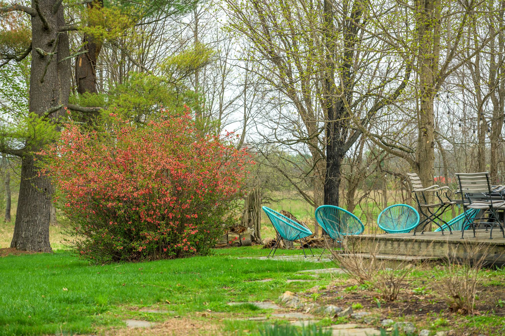  596 County Route 25, Stockport, NY 12173 - 物件實景