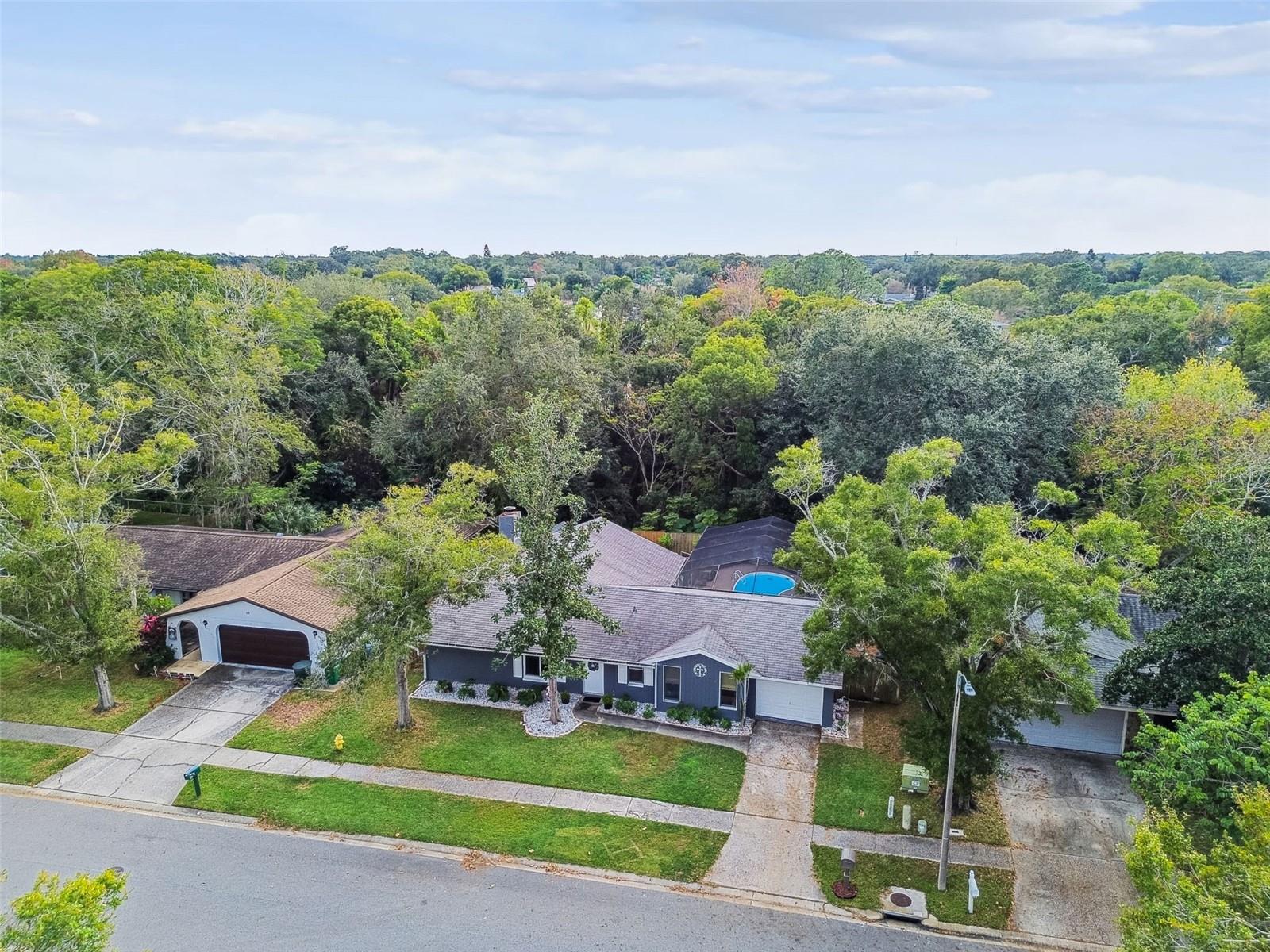 Safety Harbor, Florida, 34695, United States, 2 Bedrooms Bedrooms, ,2 BathroomsBathrooms,Residential,For Sale,2005767