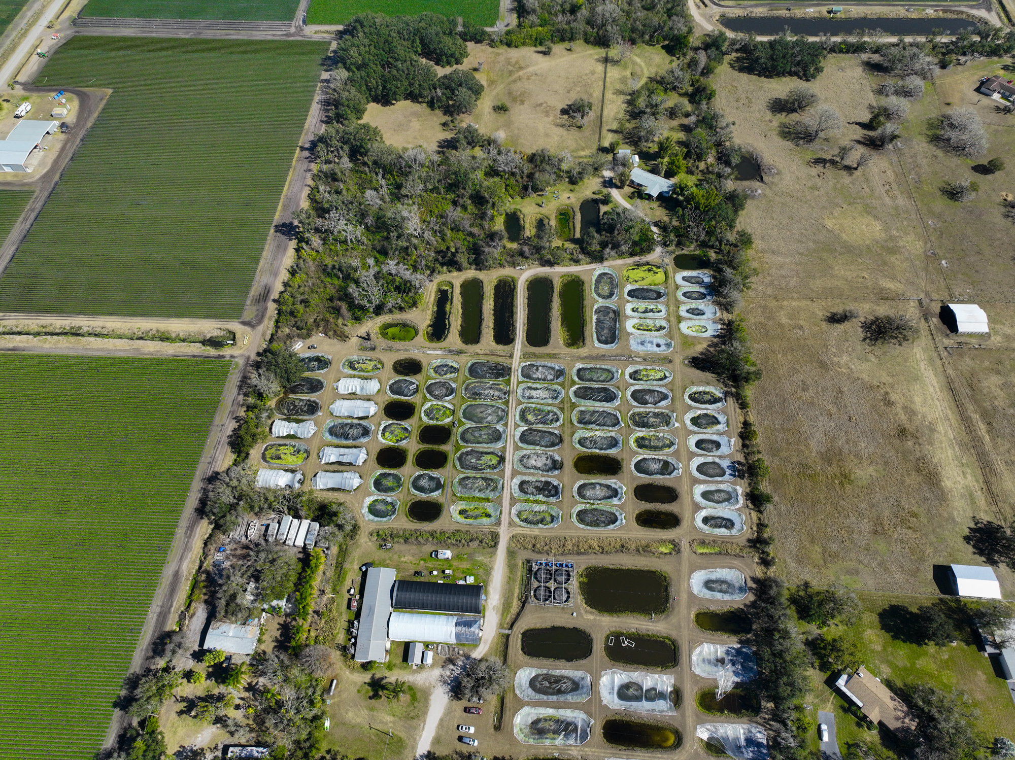 Wimauma, Florida, 33598, United States, 3 Bedrooms Bedrooms, ,2 BathroomsBathrooms,Residential,For Sale,2016610