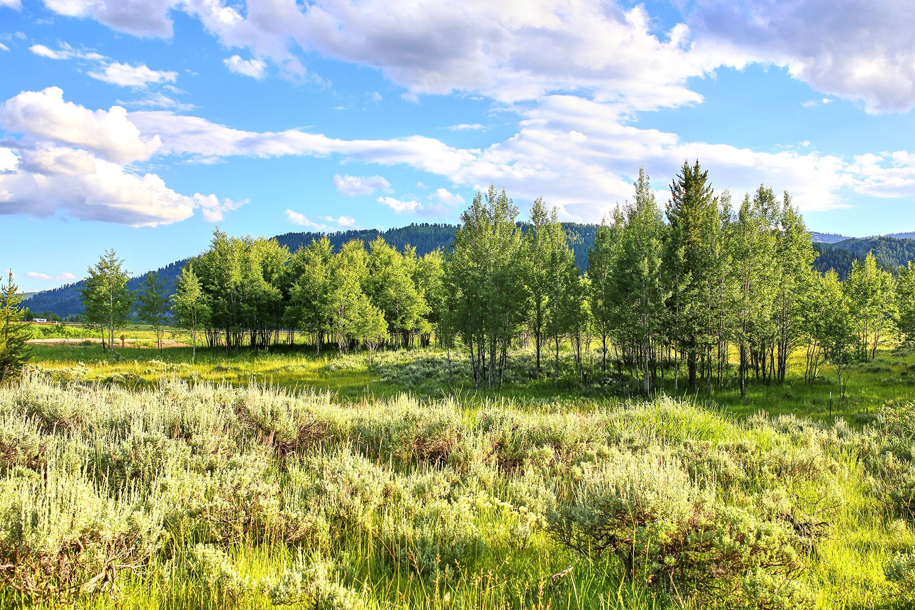  Snake River Sporting Club Lot - 物件實景