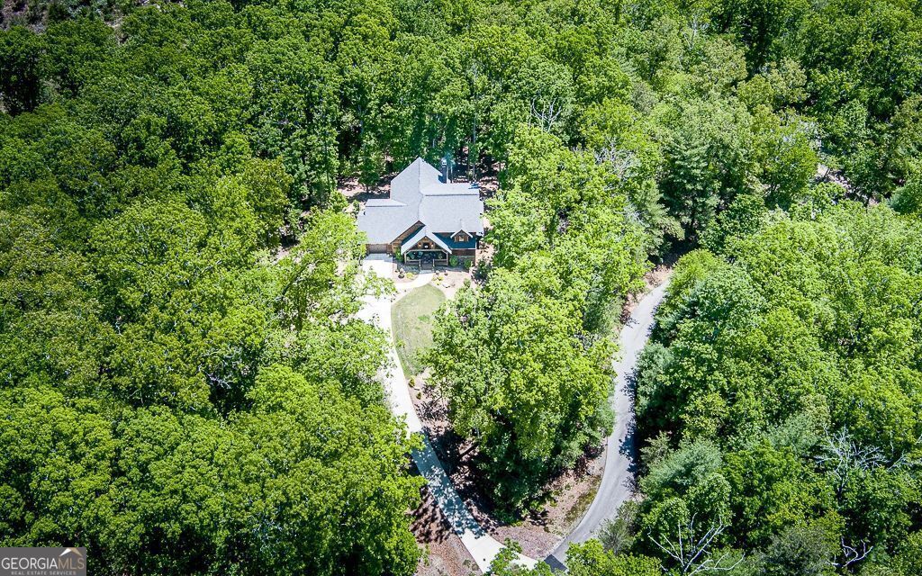 Morganton, Georgia, 30560, United States, 4 Bedrooms Bedrooms, ,4 BathroomsBathrooms,Residential,For Sale,1859002