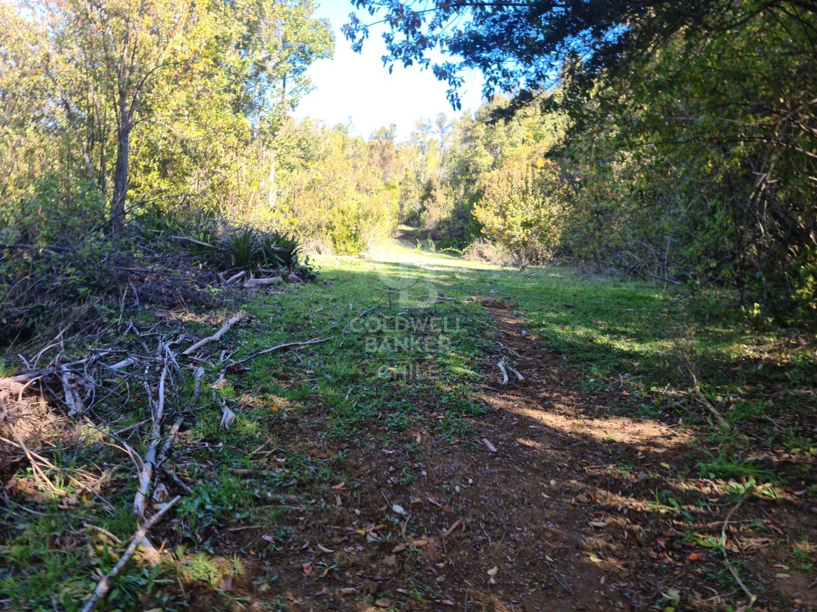 Fresia, Chile, ,Residential,For Sale,1913252