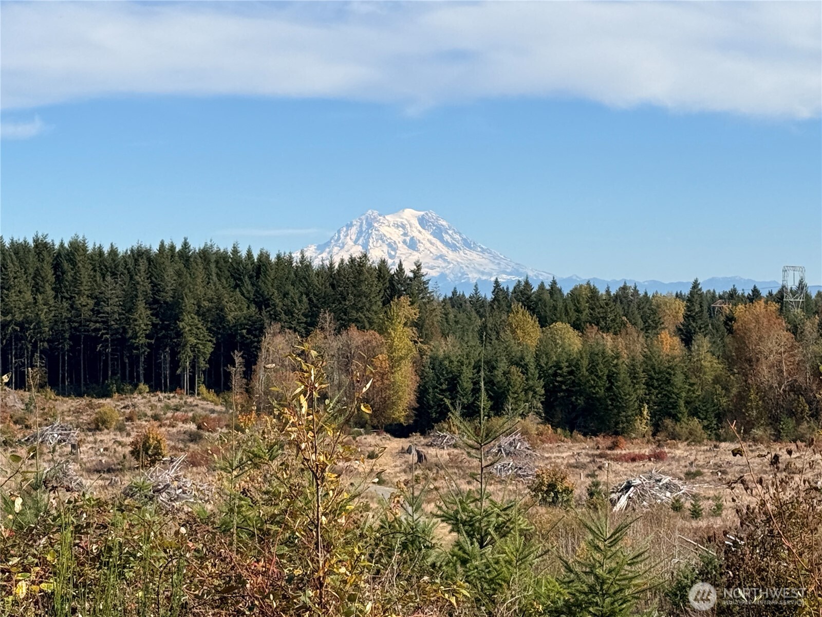 Rainier, Washington, 98576, United States, ,Land,For Sale,1998419