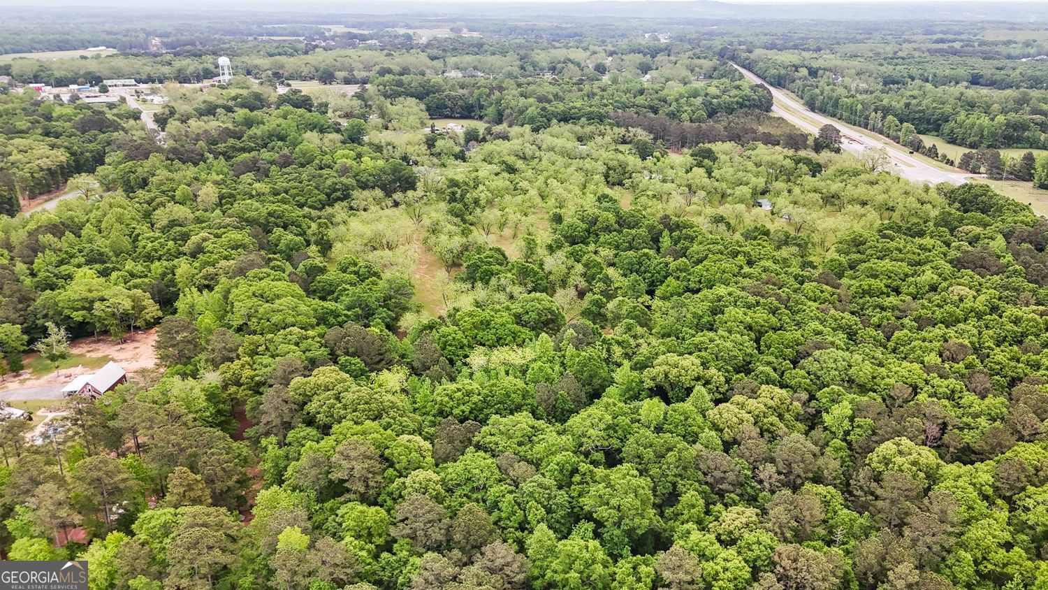 Milner, Georgia, 30257, United States, ,Land,For Sale,1859026