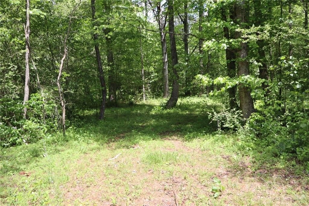 Ellijay, Georgia, 30540, United States, ,Land,For Sale,1979935