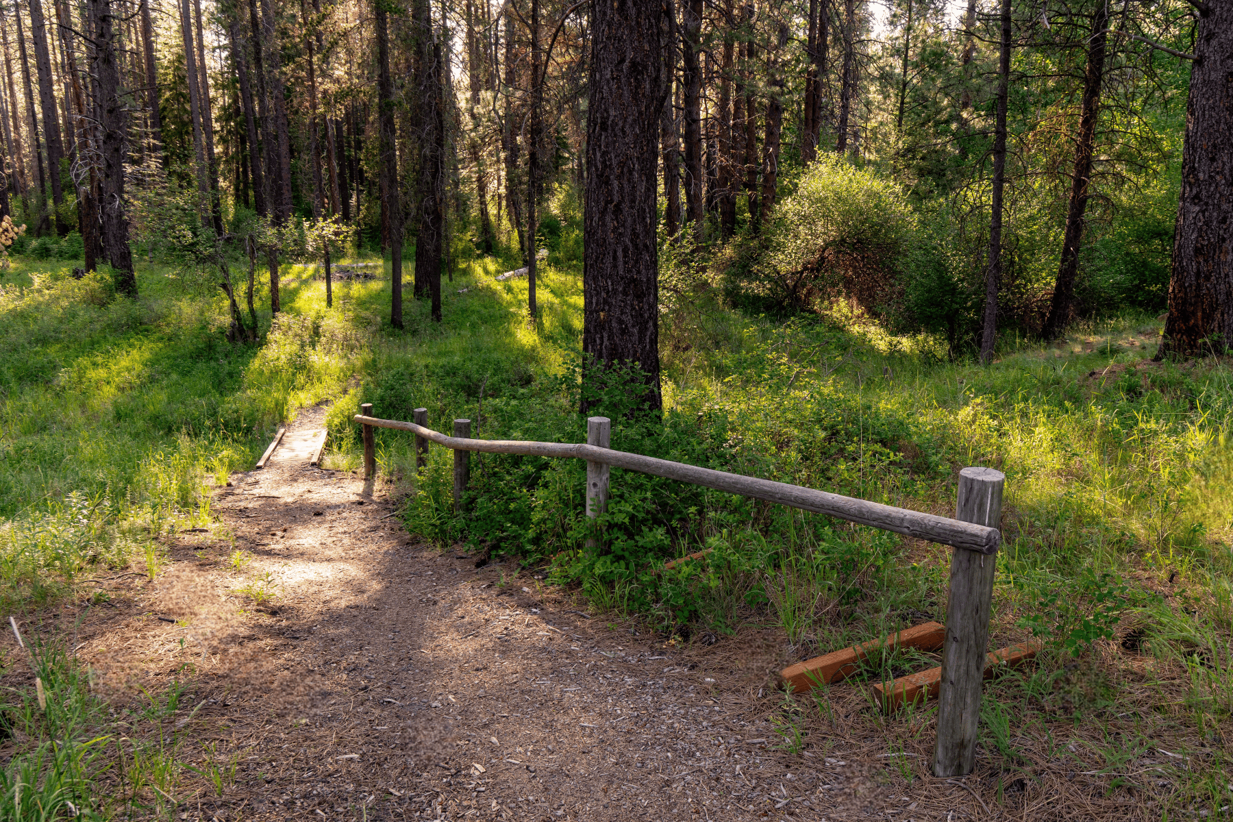  26275 SW Metolius Meadows Drive Camp Sherman, OR 97730 - 物件實景