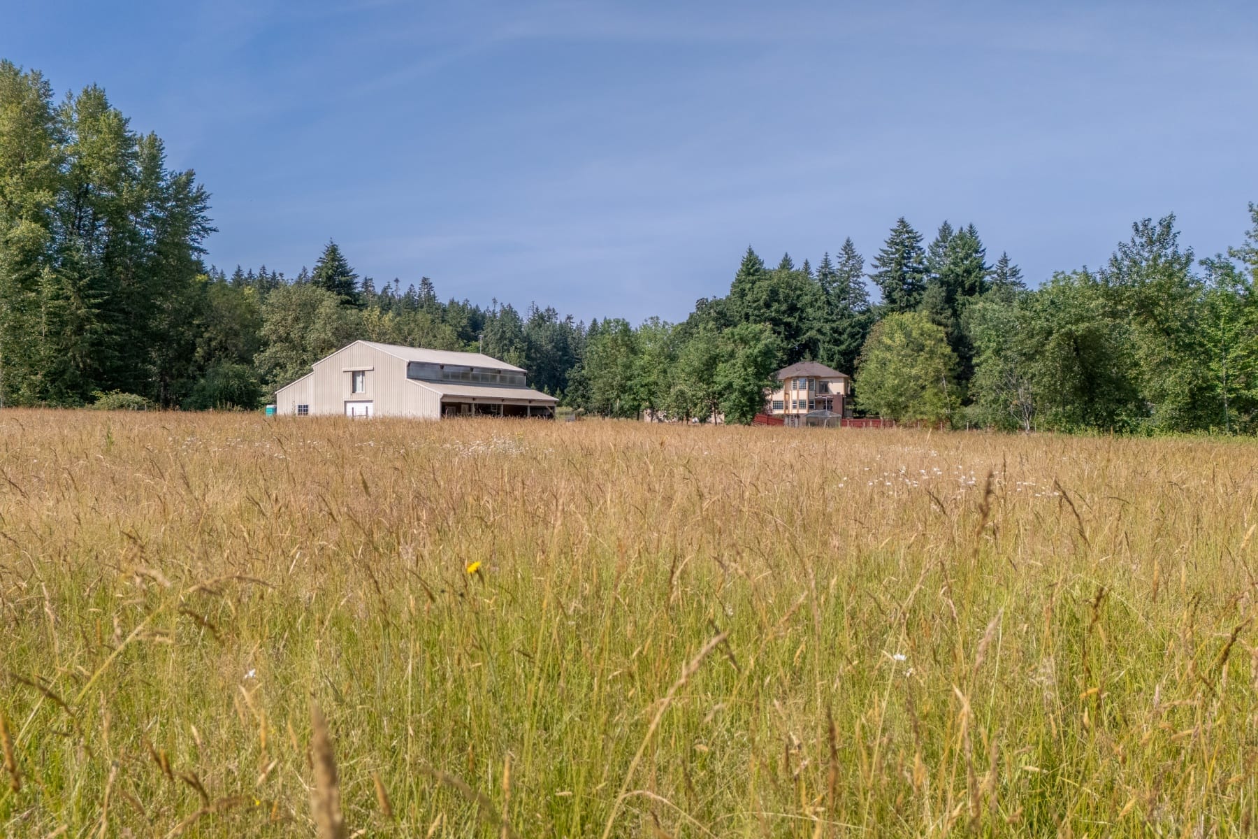  37310 Fawn DR Lebanon, OR 97355 - 物件實景