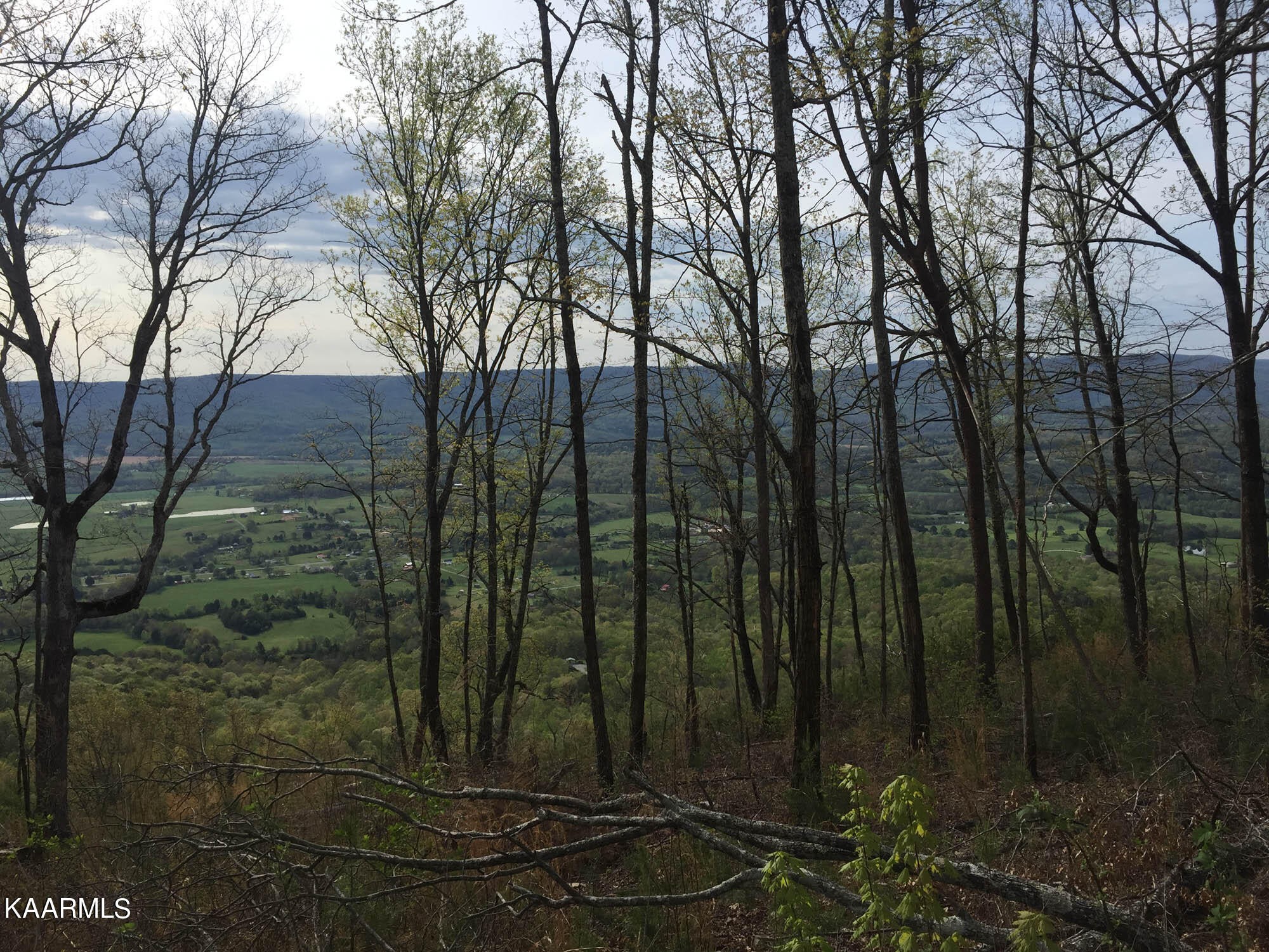 Pikeville, Tennessee, 37367, United States, ,Residential,For Sale,1943070