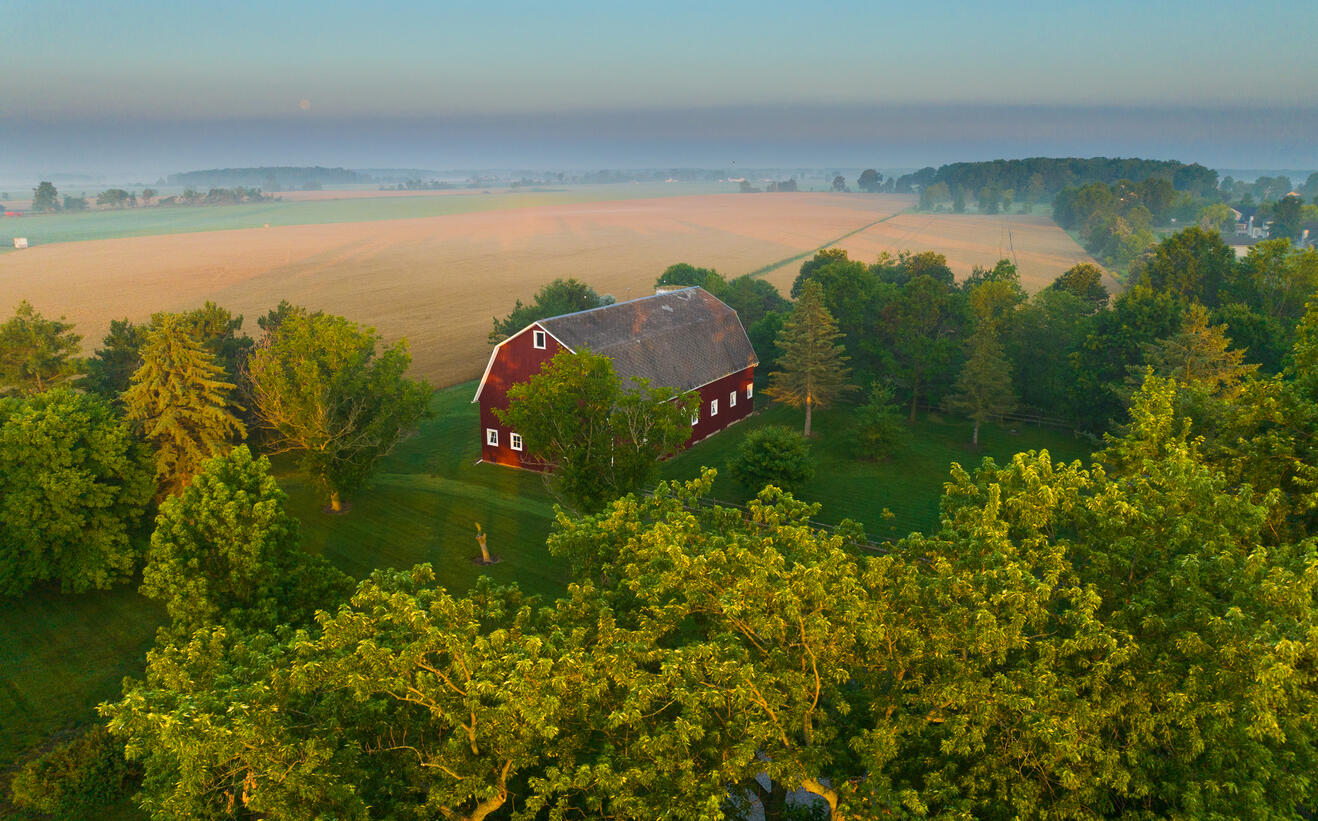 Ida, Michigan, 48140, United States, 4 Bedrooms Bedrooms, ,3 BathroomsBathrooms,Residential,For Sale,1973909