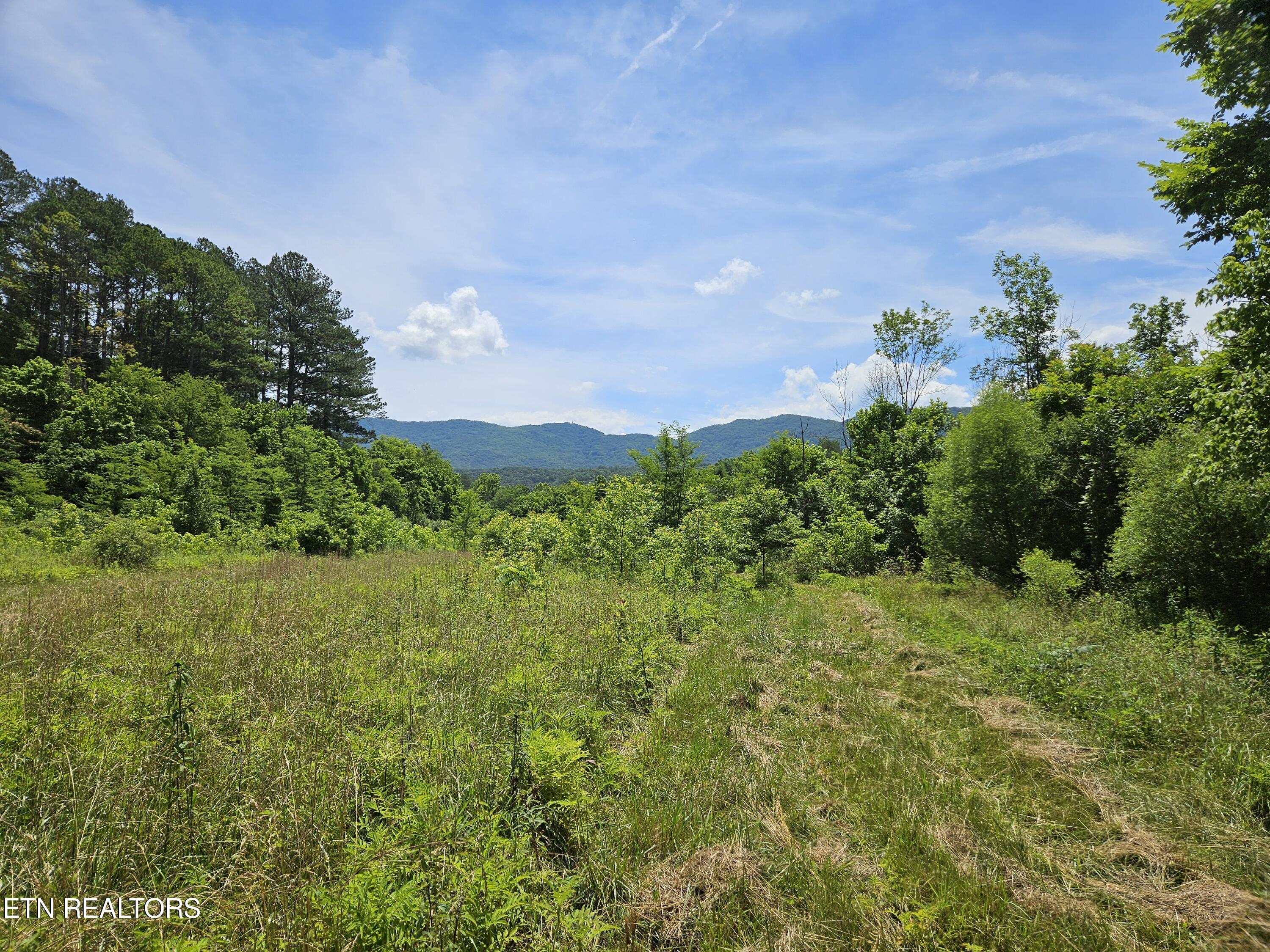 Maryville, Tennessee, 37803, United States, ,Land,For Sale,1976911