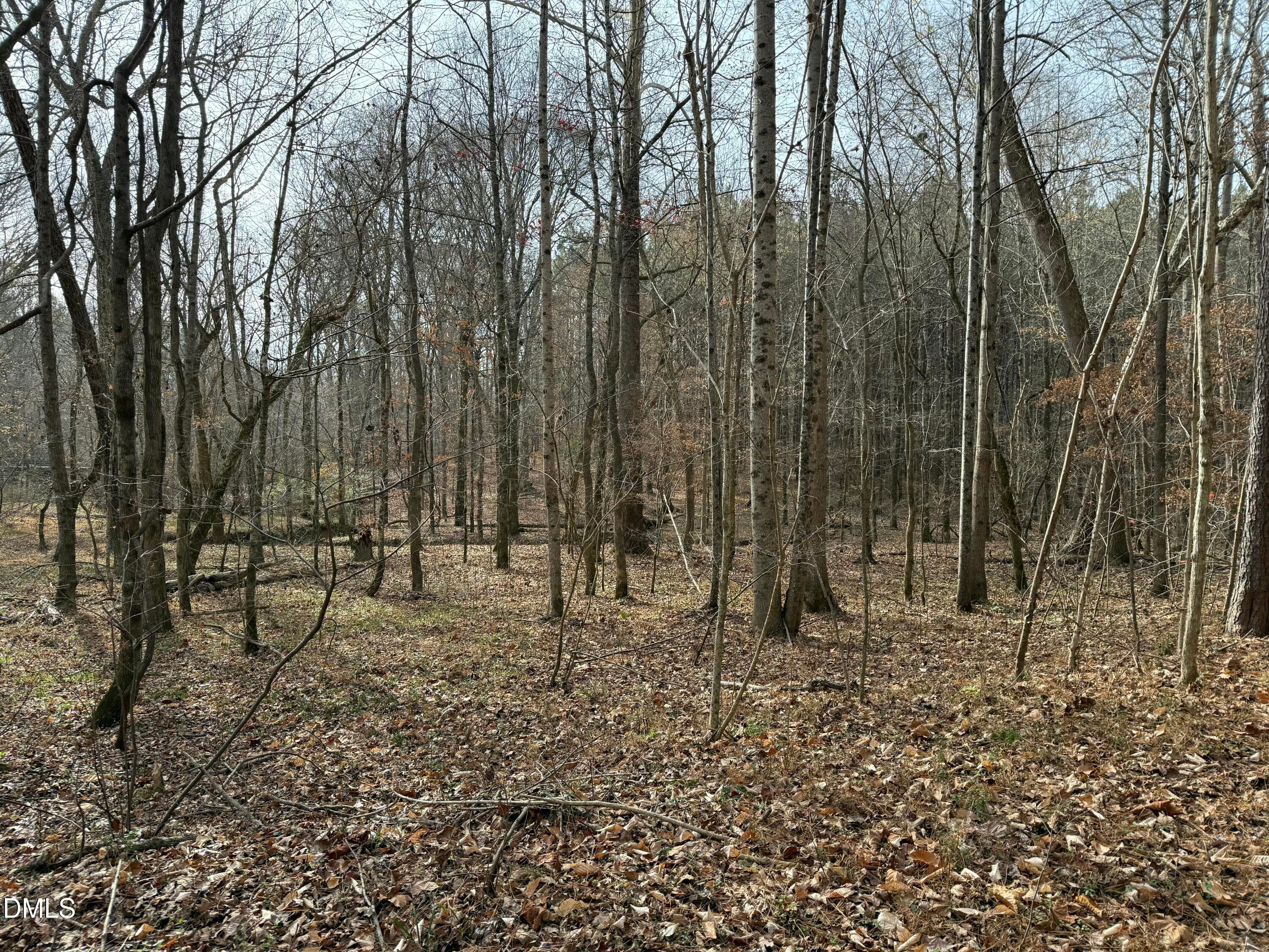 Oxford, North Carolina, 27565, United States, ,Land,For Sale,2000467