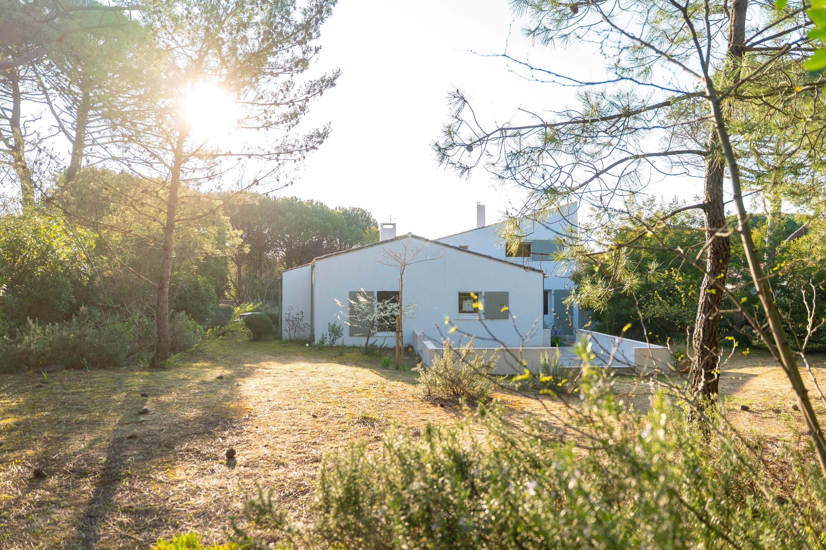  Île de Ré – Les Portes-en-Ré - Exceptional Property Nestled in a Pine Forest, J… - 物件實景