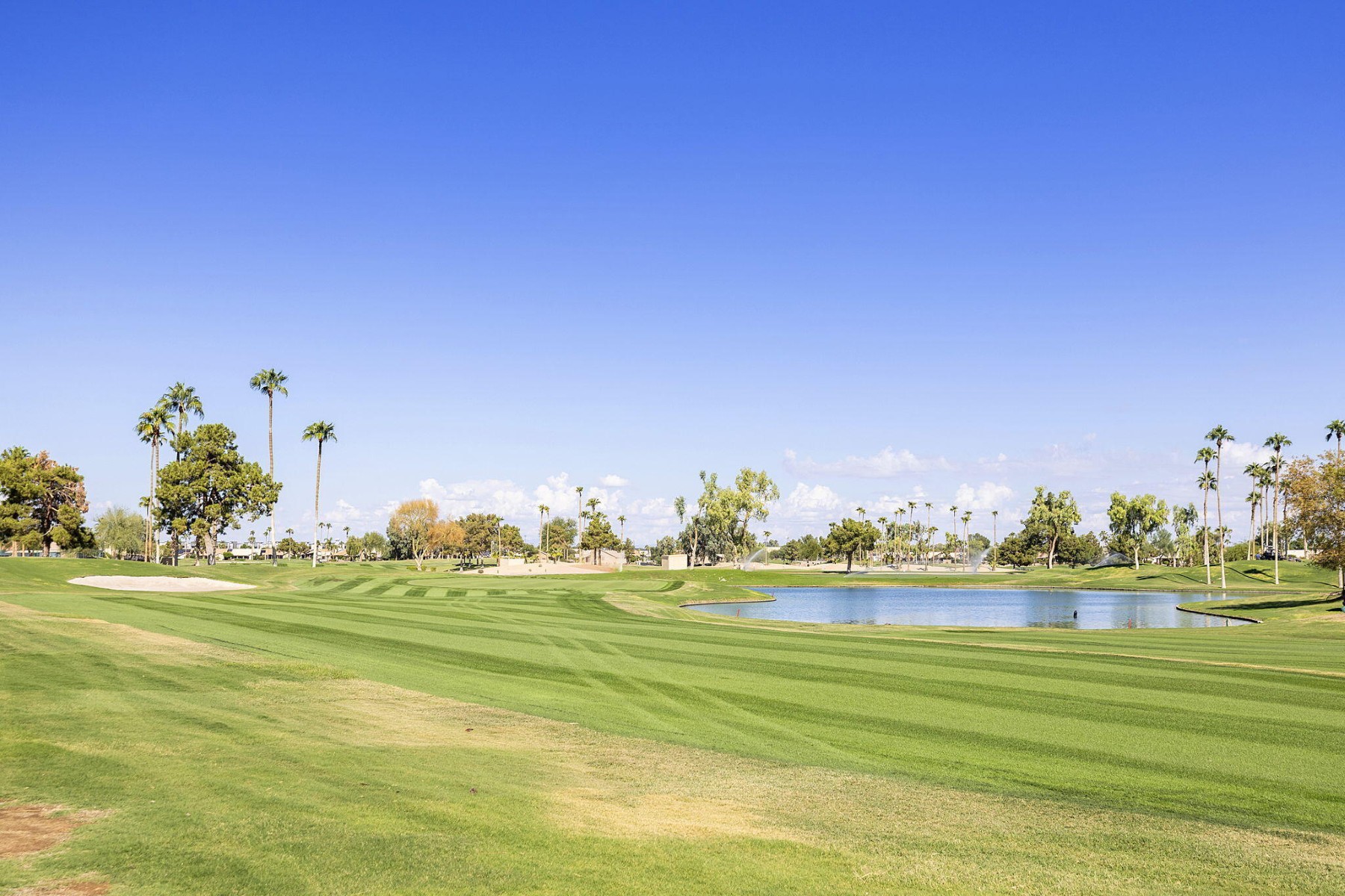  3365 N 153rd Drive¦Goodyear, AZ - 物件實景