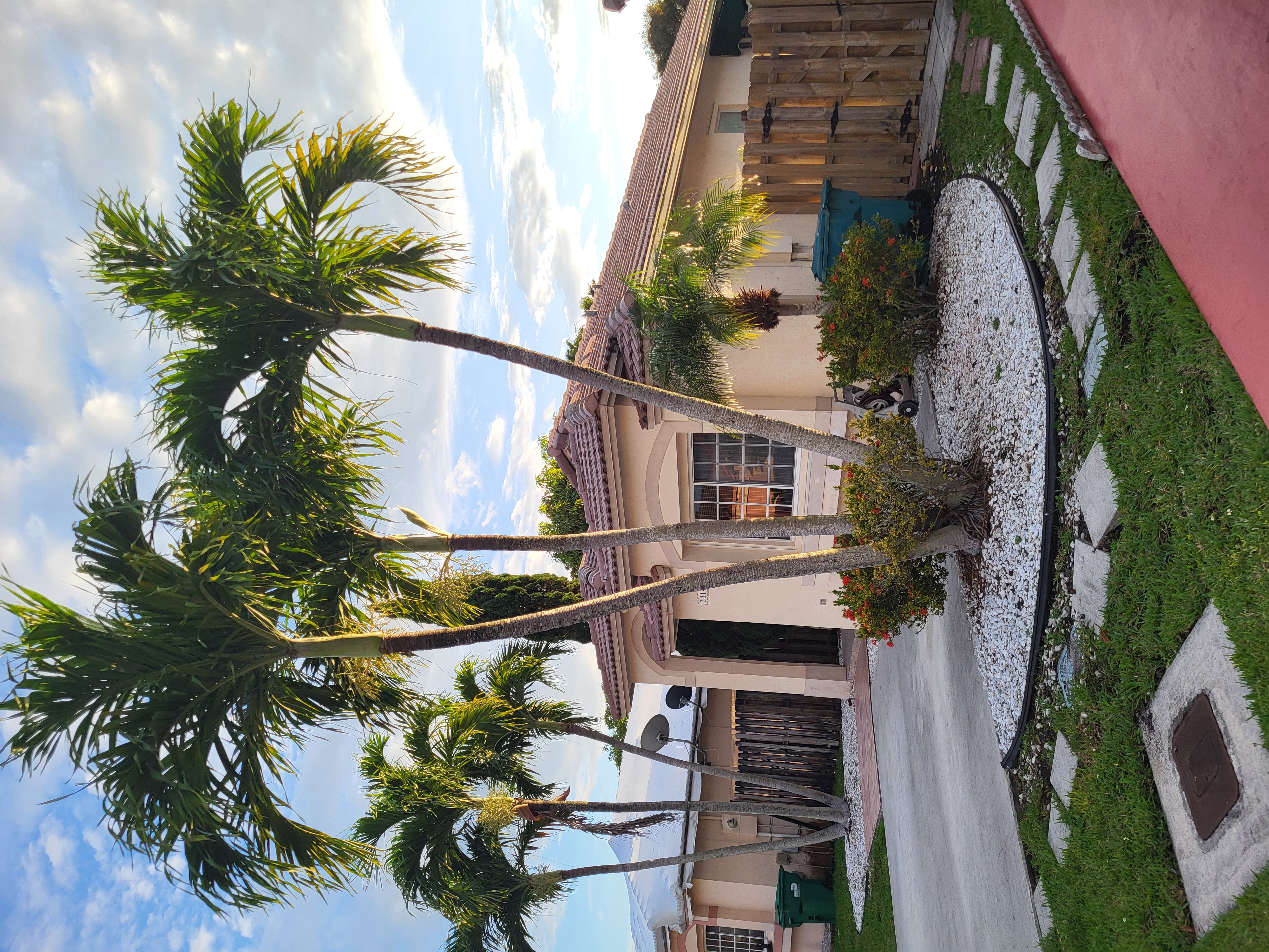 Miami, Florida, 33196, United States, 3 Bedrooms Bedrooms, ,2 BathroomsBathrooms,Residential,For Sale,1979273