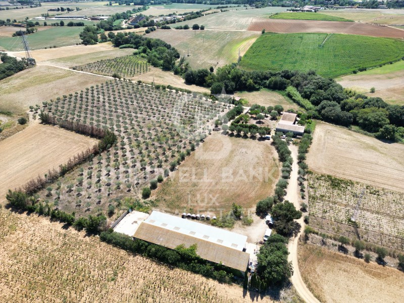 Girona, Siurana, Siurana Girona, Siurana, Siurana, Siurana, Catalonia, ES, 5 Bedrooms Bedrooms, ,3 BathroomsBathrooms,Residential,For Sale,Girona, Siurana, Siurana Girona, Siurana, Siurana ,1621457