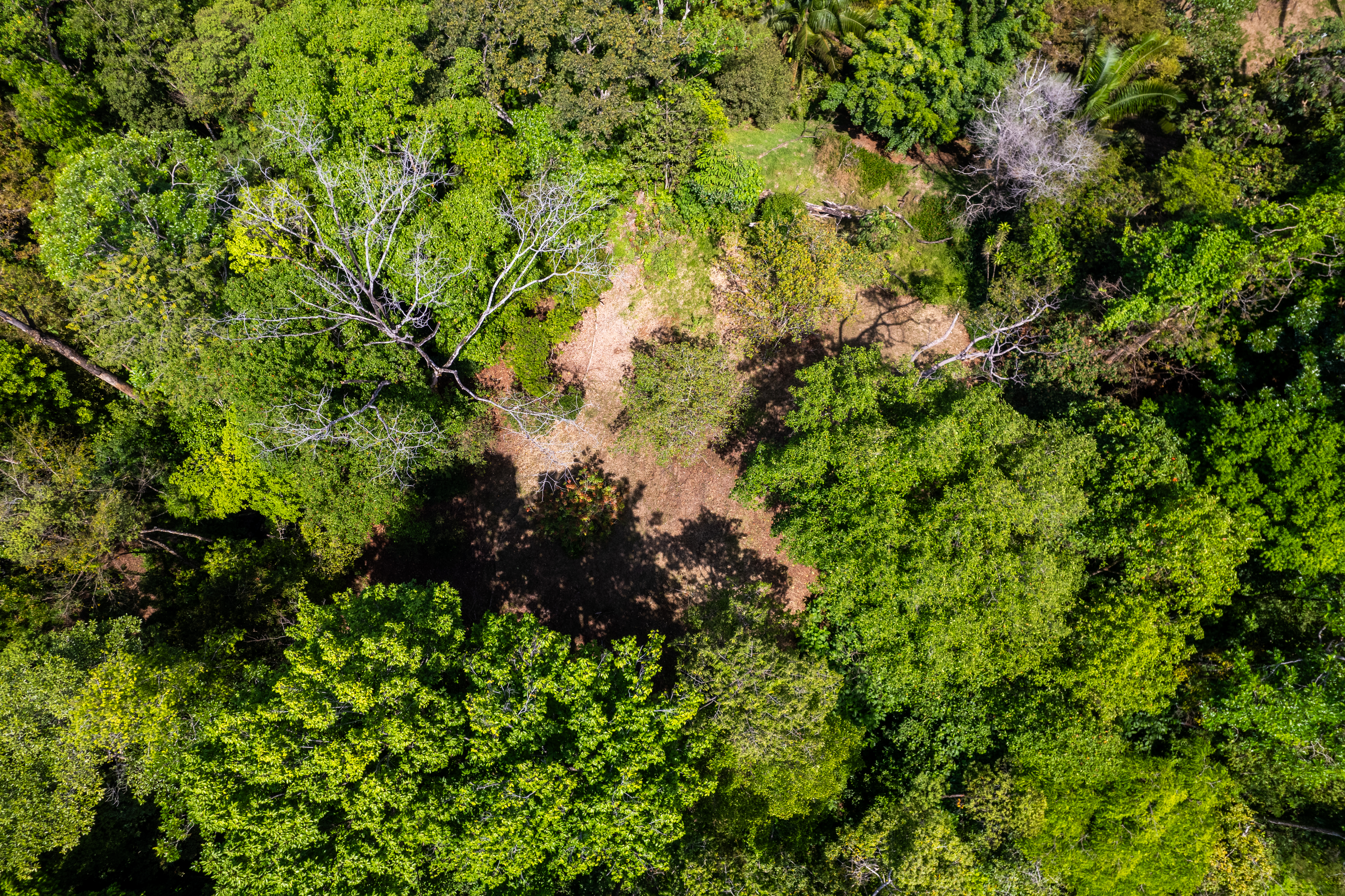 Uvita, Puntarenas, CR, ,Land,For Sale,1738605