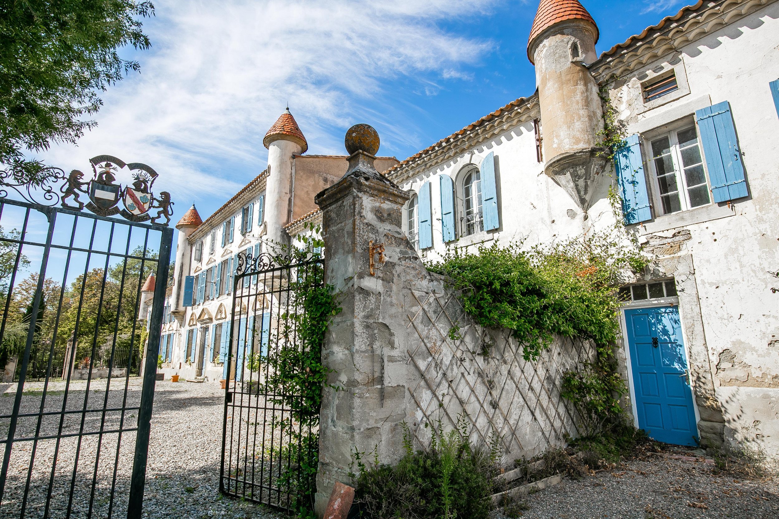  Very nice estate with chateau and outbuildings - 物件實景