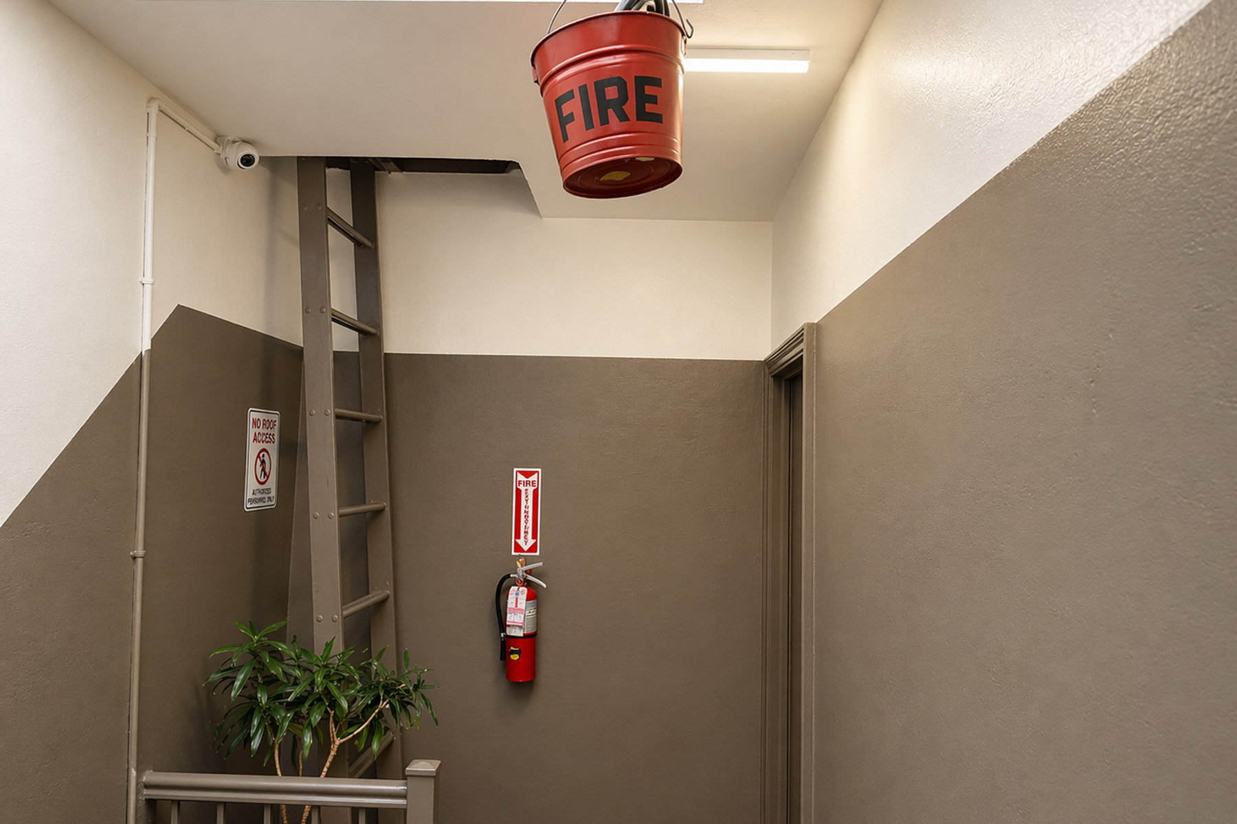  241 East 123rd St. 1-7, New York, NY, 10035 - 物件實景