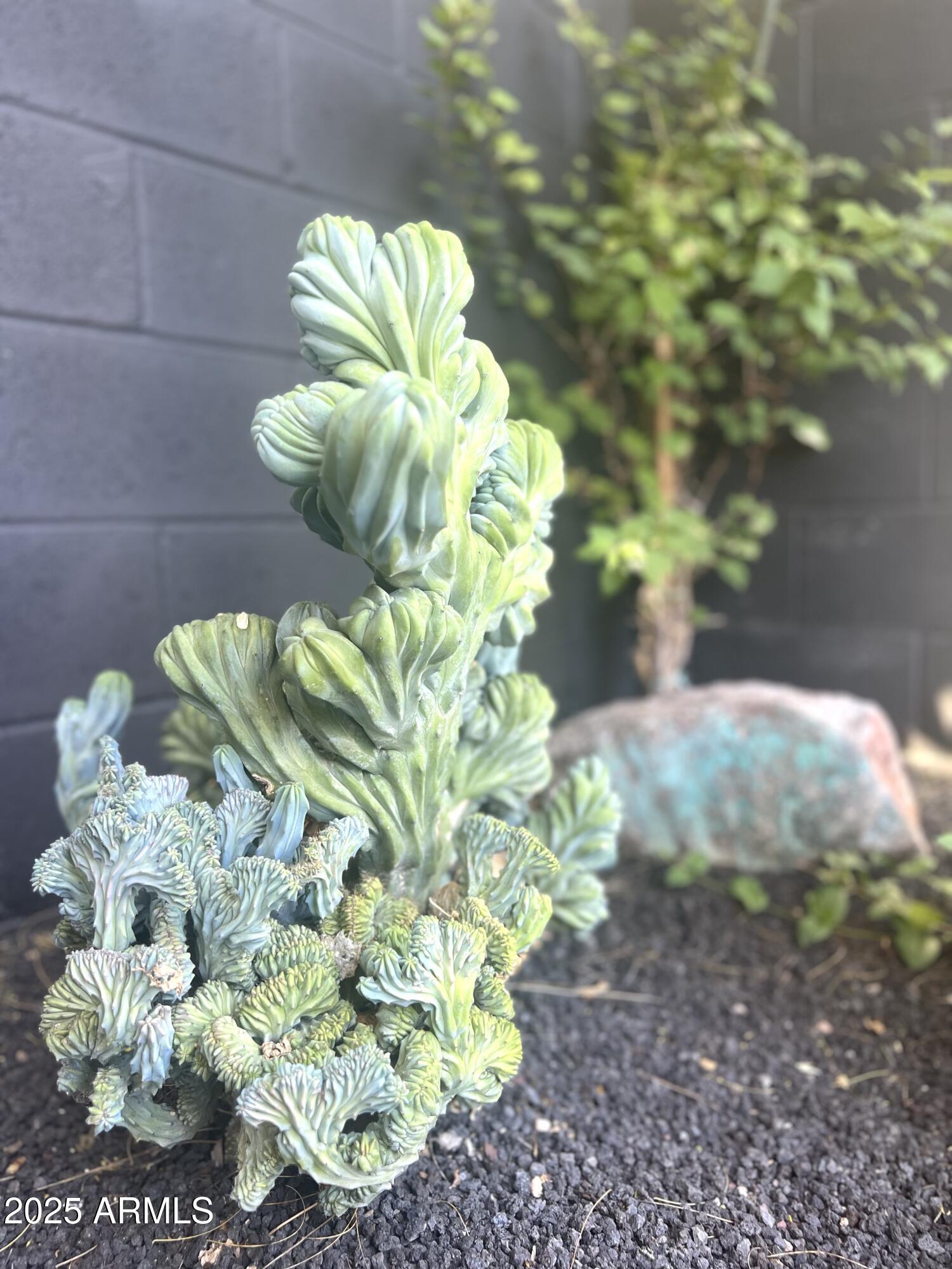 Carefree, Arizona, 85377, United States, 3 Bedrooms Bedrooms, ,3 BathroomsBathrooms,Residential,For Sale,1989596