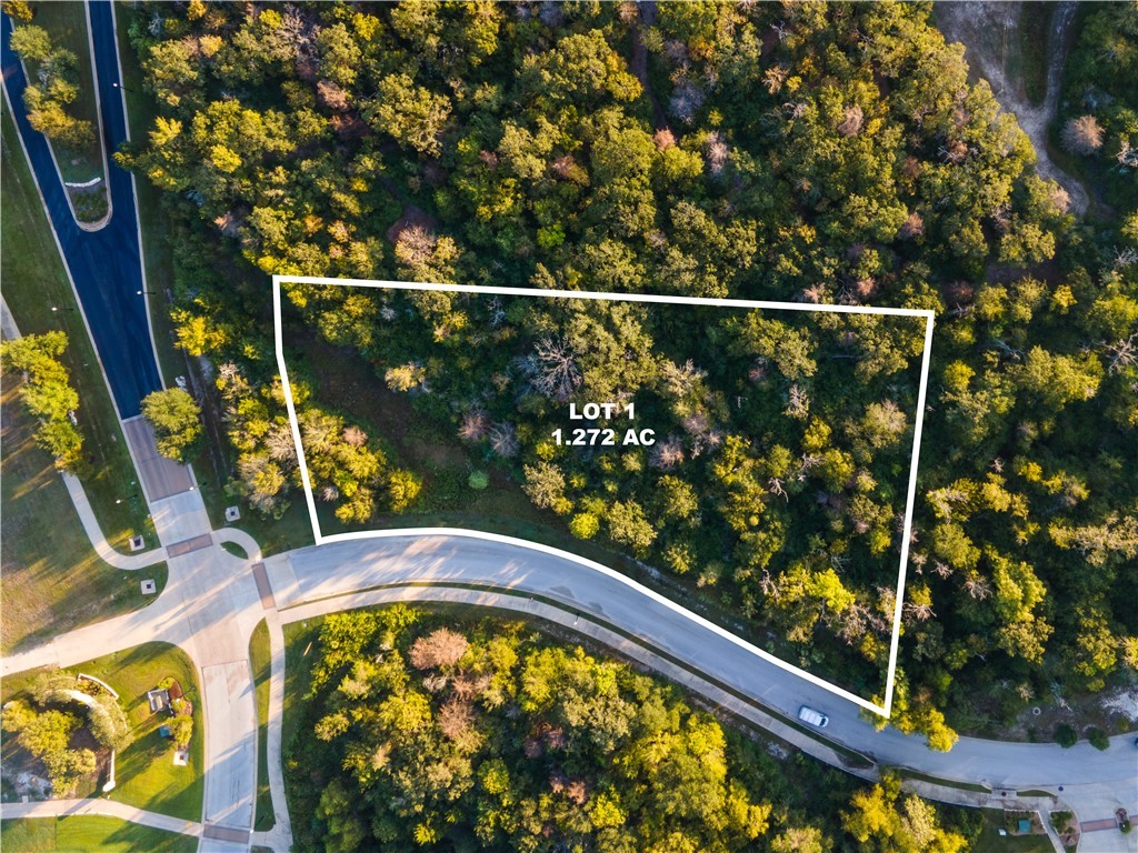 Bryan, Texas, 77807, United States, ,Land,For Sale,1933338