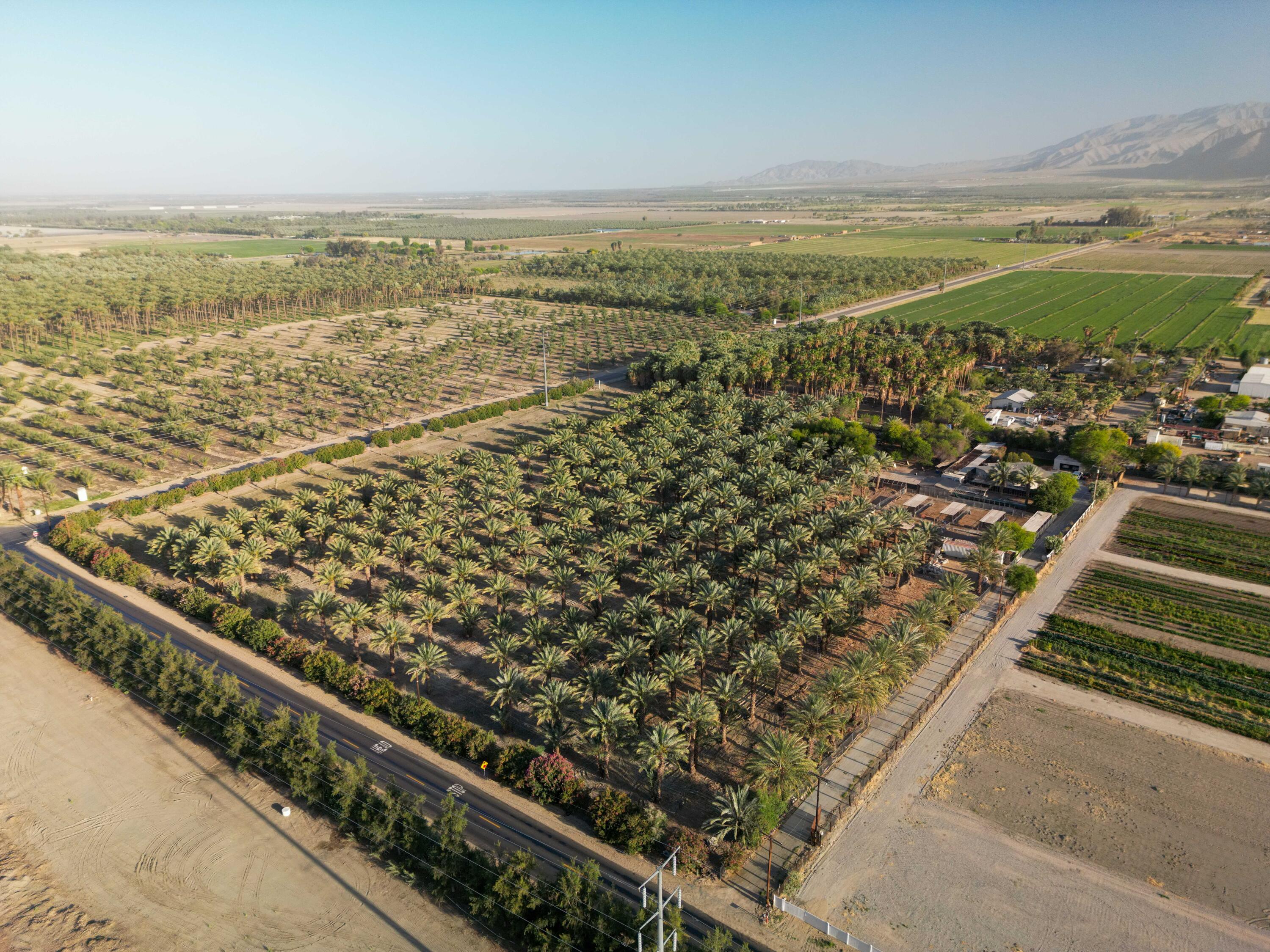 Thermal, California, 92274, United States, ,Land,For Sale,2006588