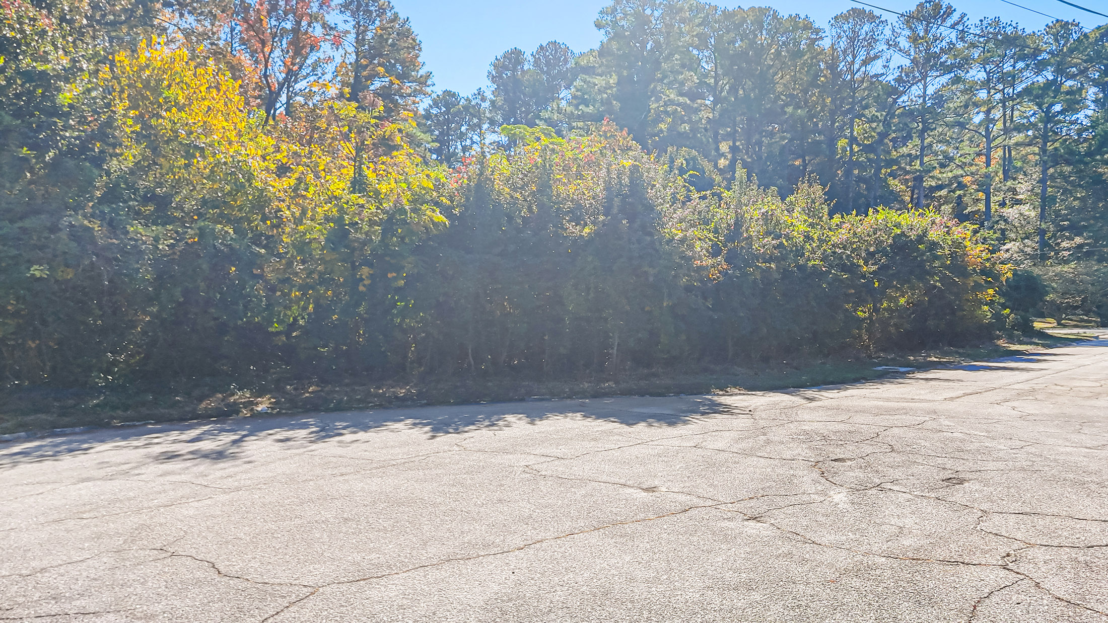  Ideal Lot for Custom Home Surrounded by Mature Trees and Lush Landscaping - 物件實景