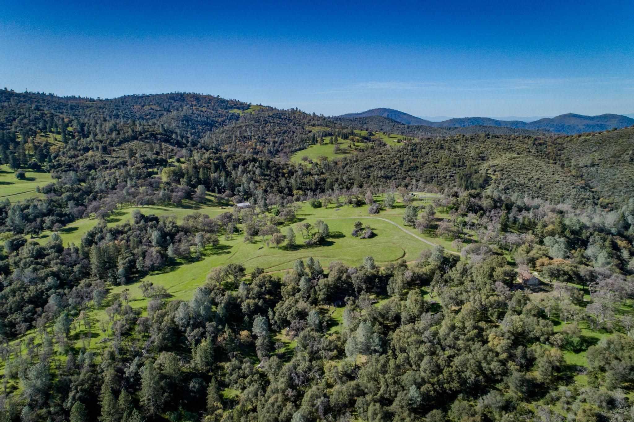 16551 Wards Ferry Rd, Big Oak Flat, California, 95305, United States, ,Land,For Sale,16551 Wards Ferry Rd,1554958
