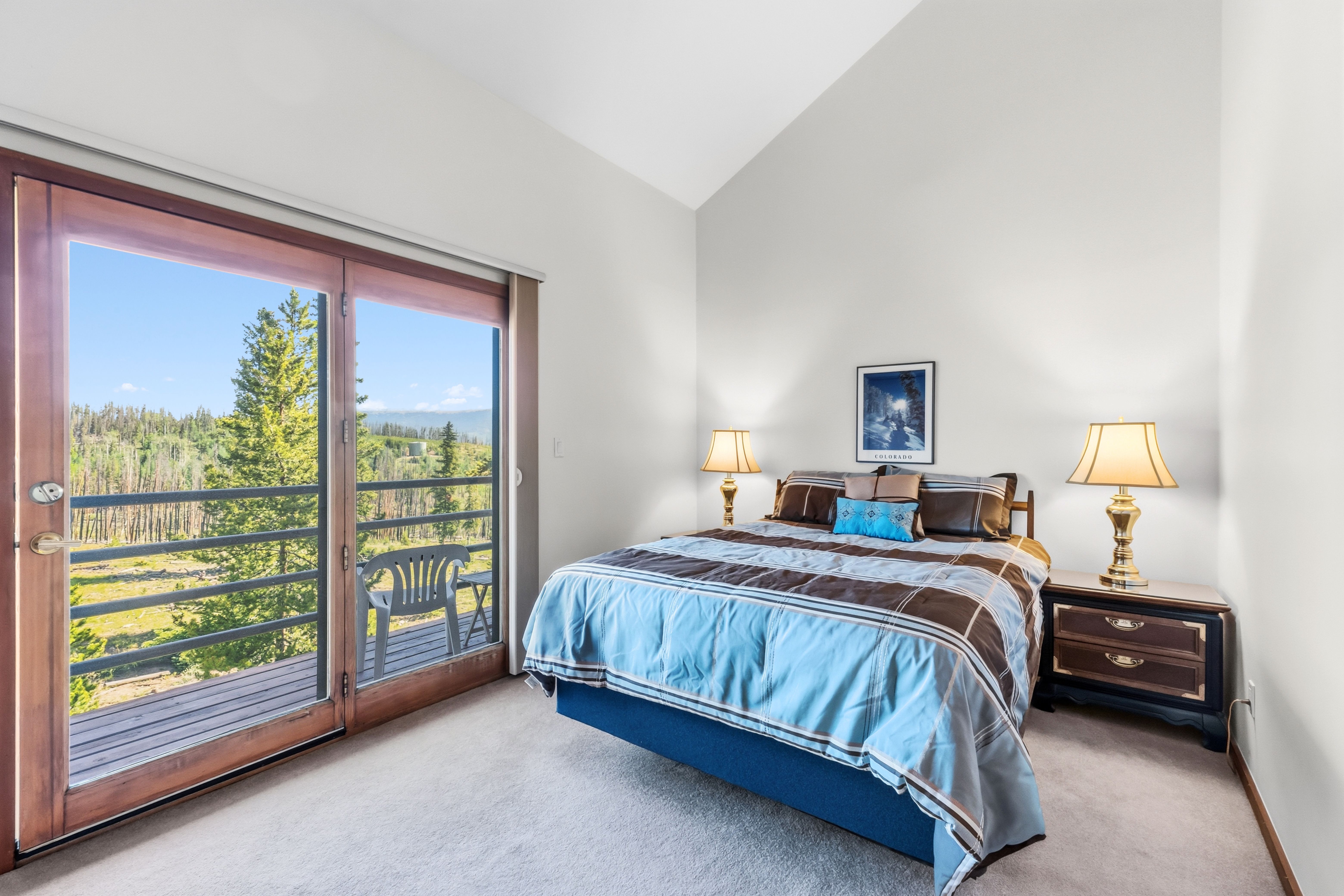  91200 Ryan Gulch Road, Silverthorne, CO, 80498 - 物件實景