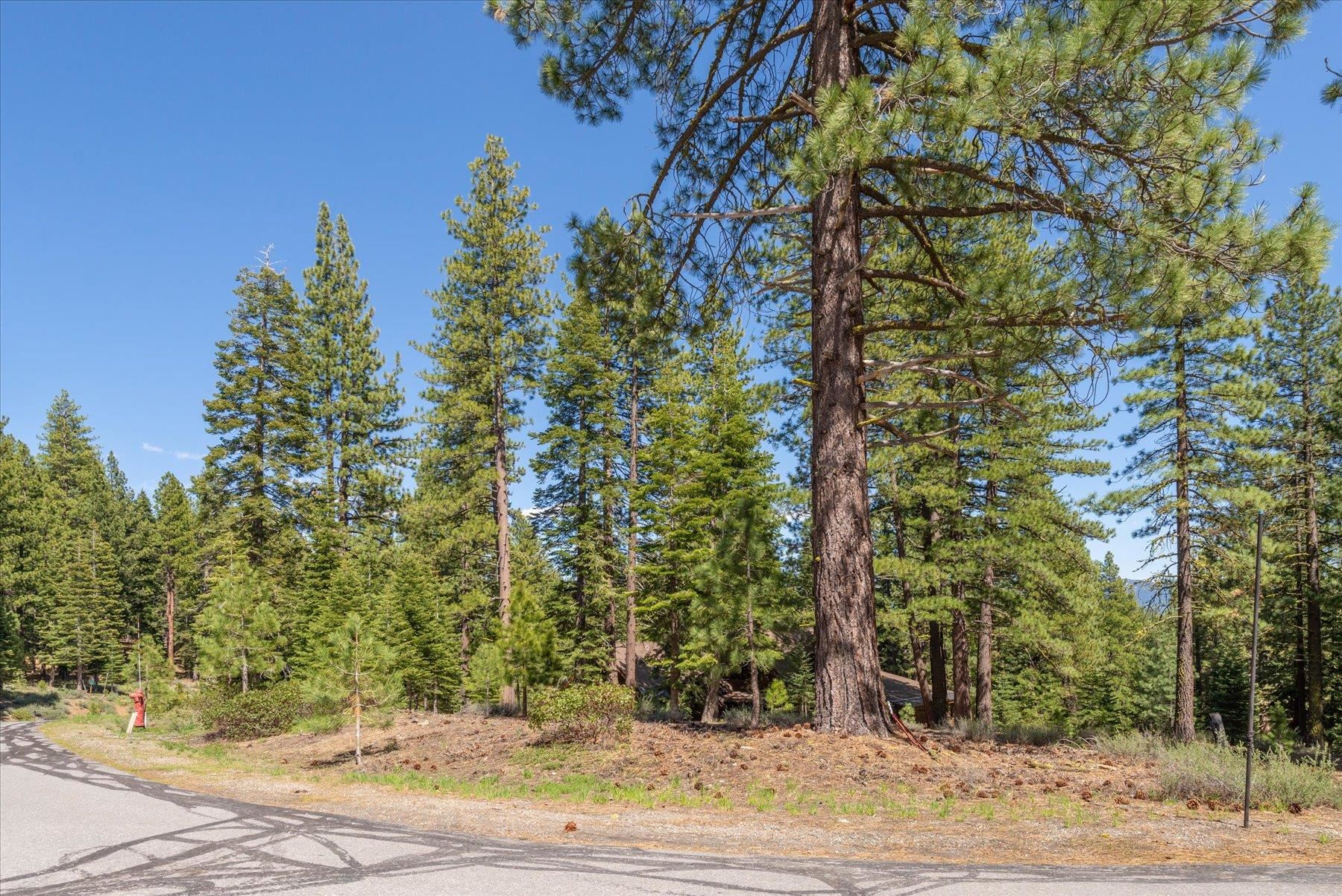 Truckee, California, 96161, United States, ,Land,For Sale,1828145
