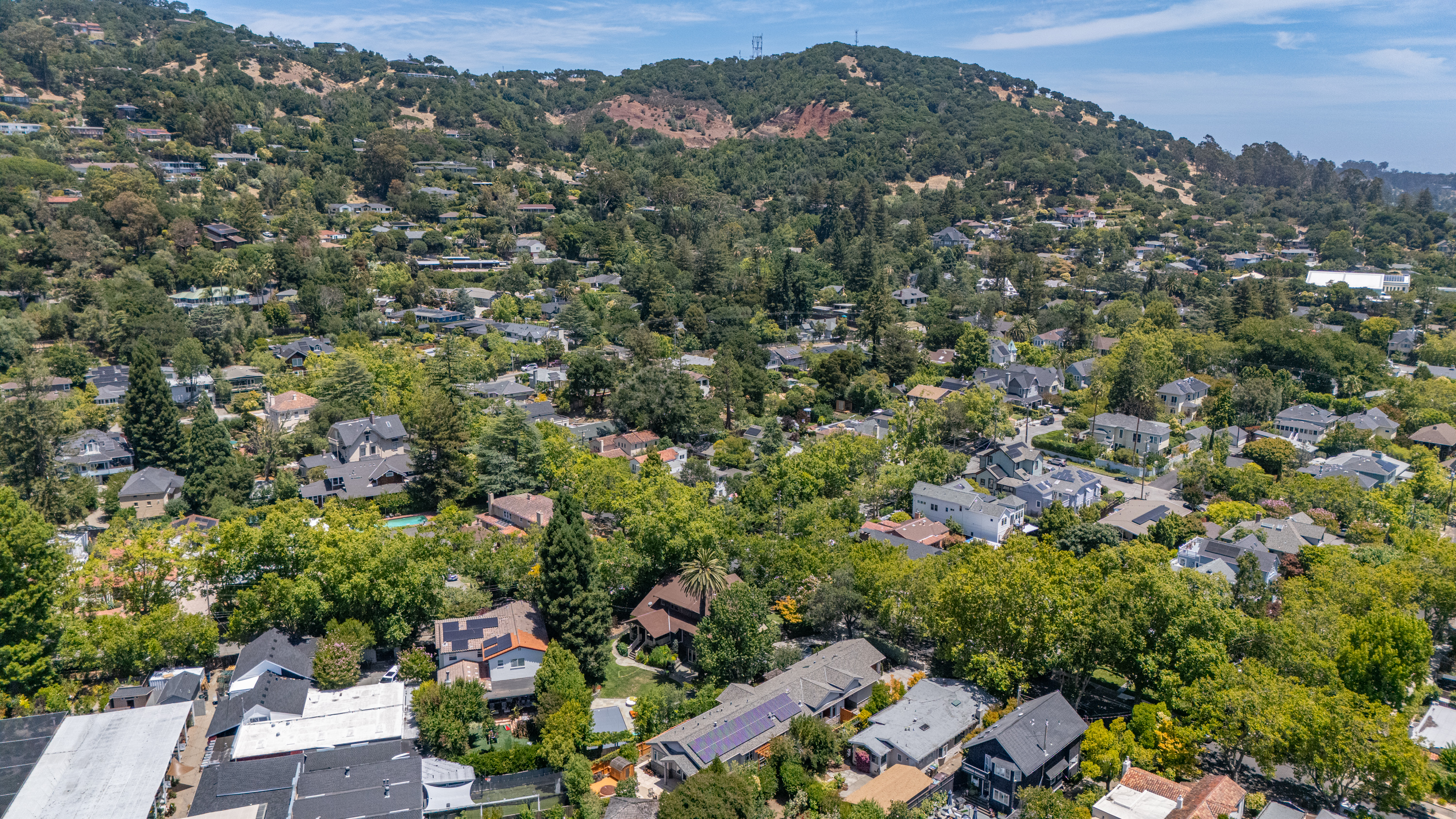  Designer Home in Forbes Neighborhood - 物件實景