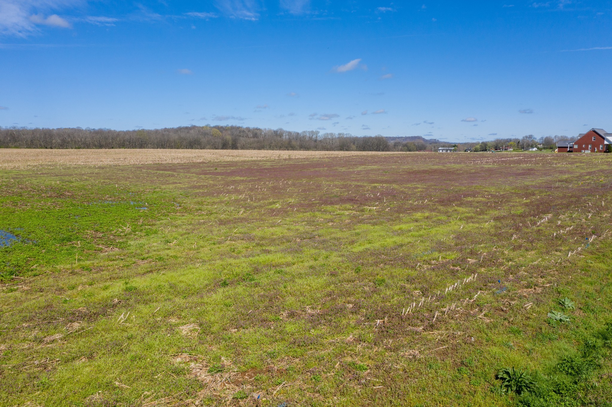  0 South Cross Bridges Road, Mount Pleasant, TN, 38474 - 物件實景
