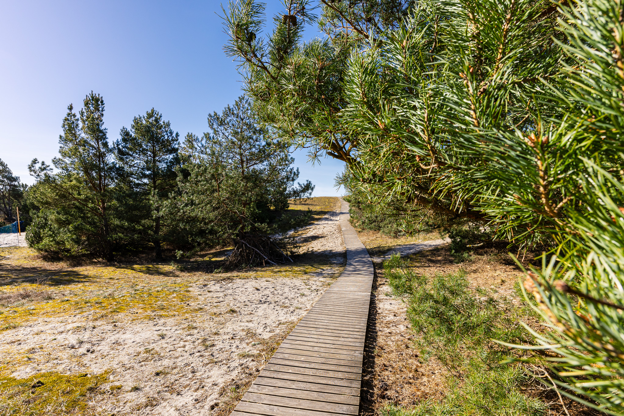  Modern classic houses on the Baltic Sea coast - 物件實景