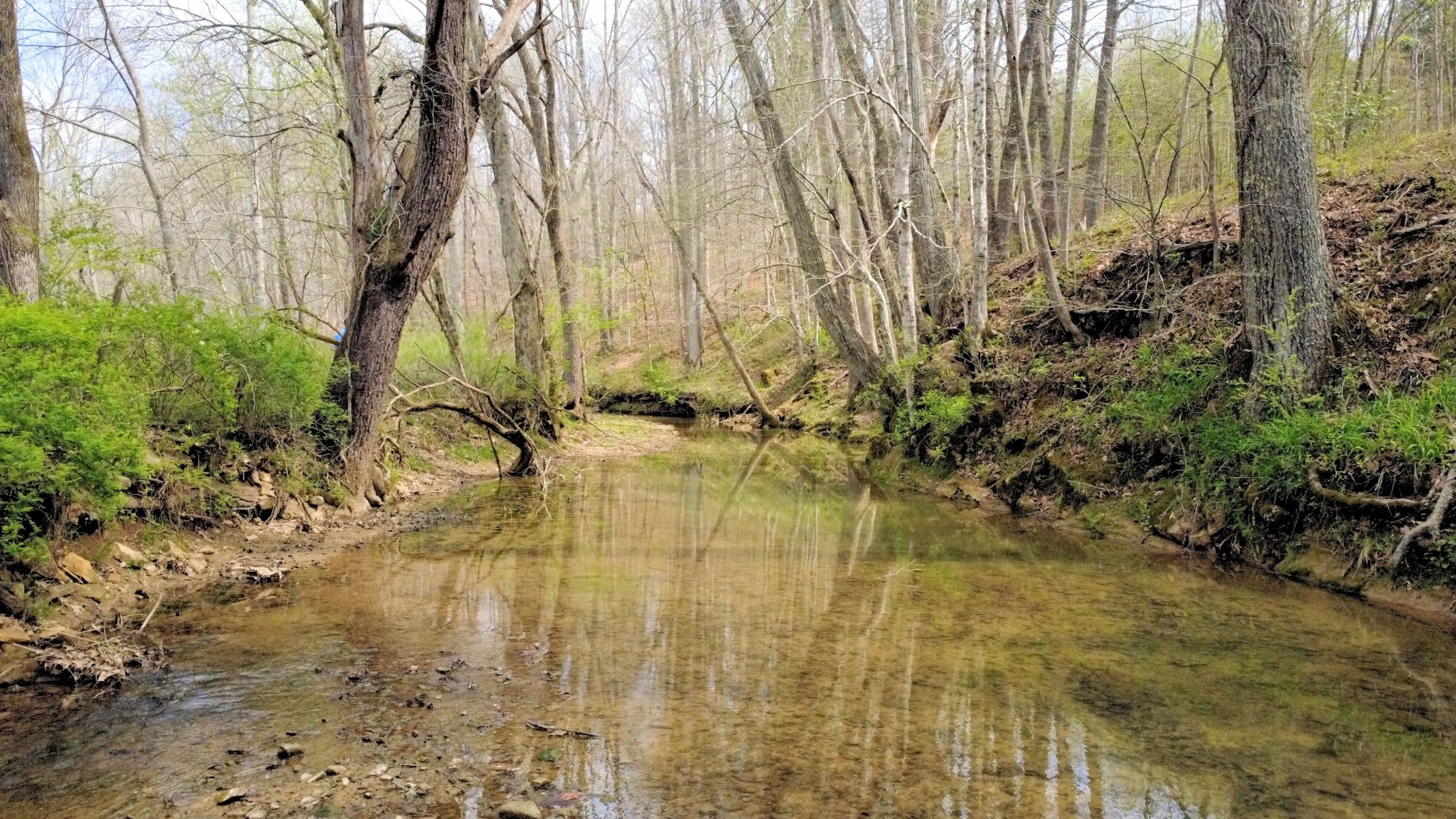  293 E Piney Rd, Dickson, TN, 37055 - 物件實景