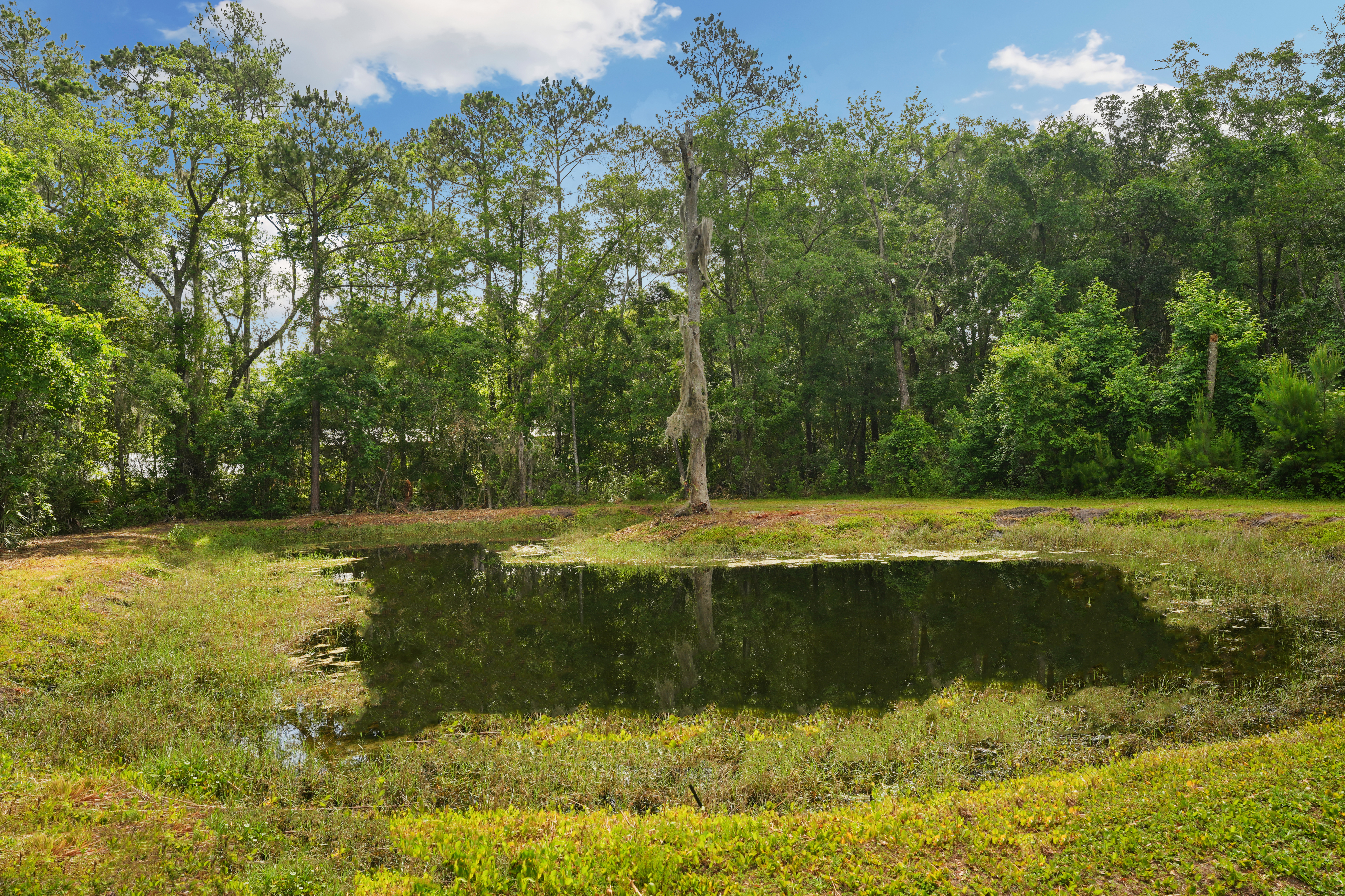  1805 Bennett Rd, St Augustine, FL, 32092 - 物件實景