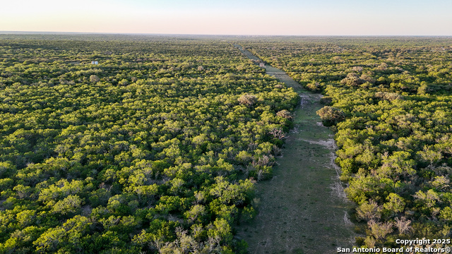 Beeville, Texas, 78102, United States, ,Land,For Sale,1942121