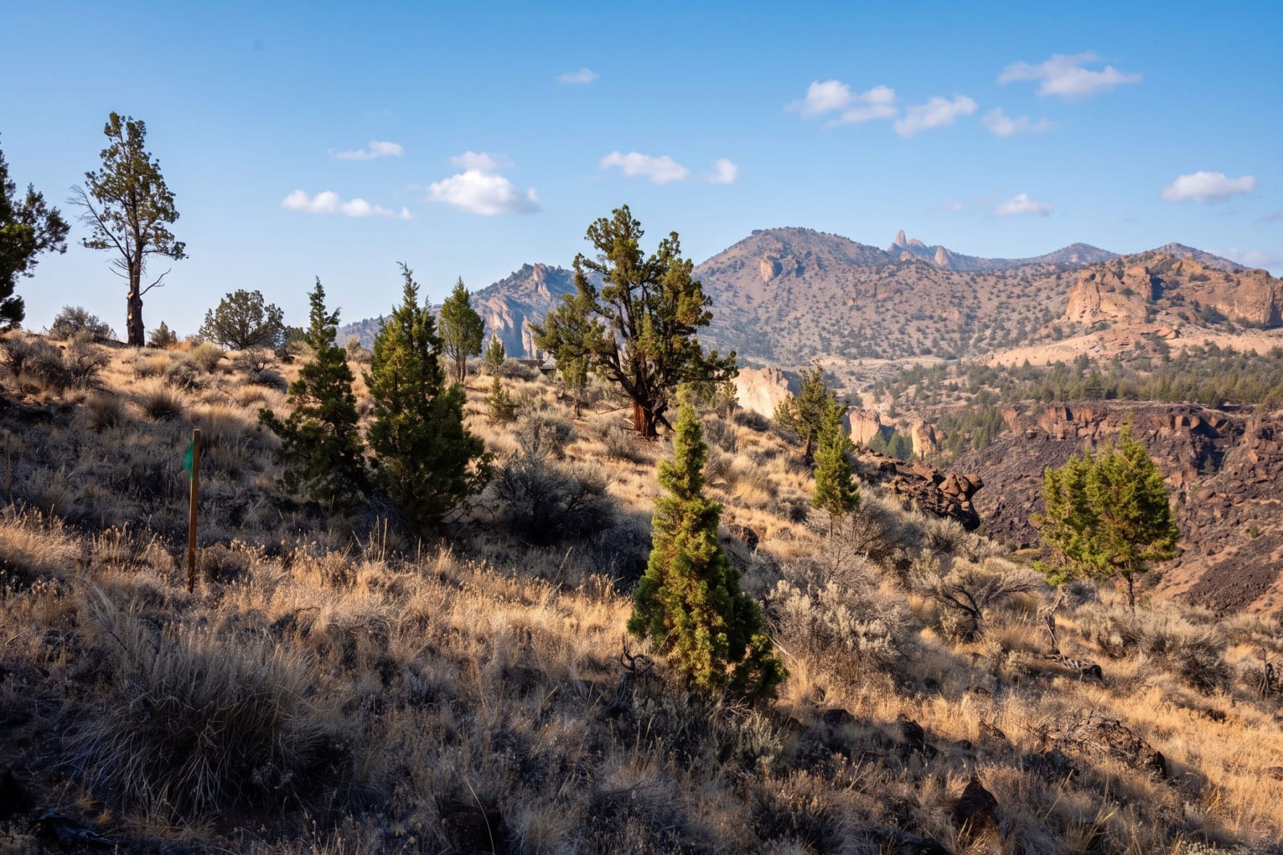  11330 NE Canyons Ranch Drive #LH 13 Terrebonne, OR 97760 - 物件實景