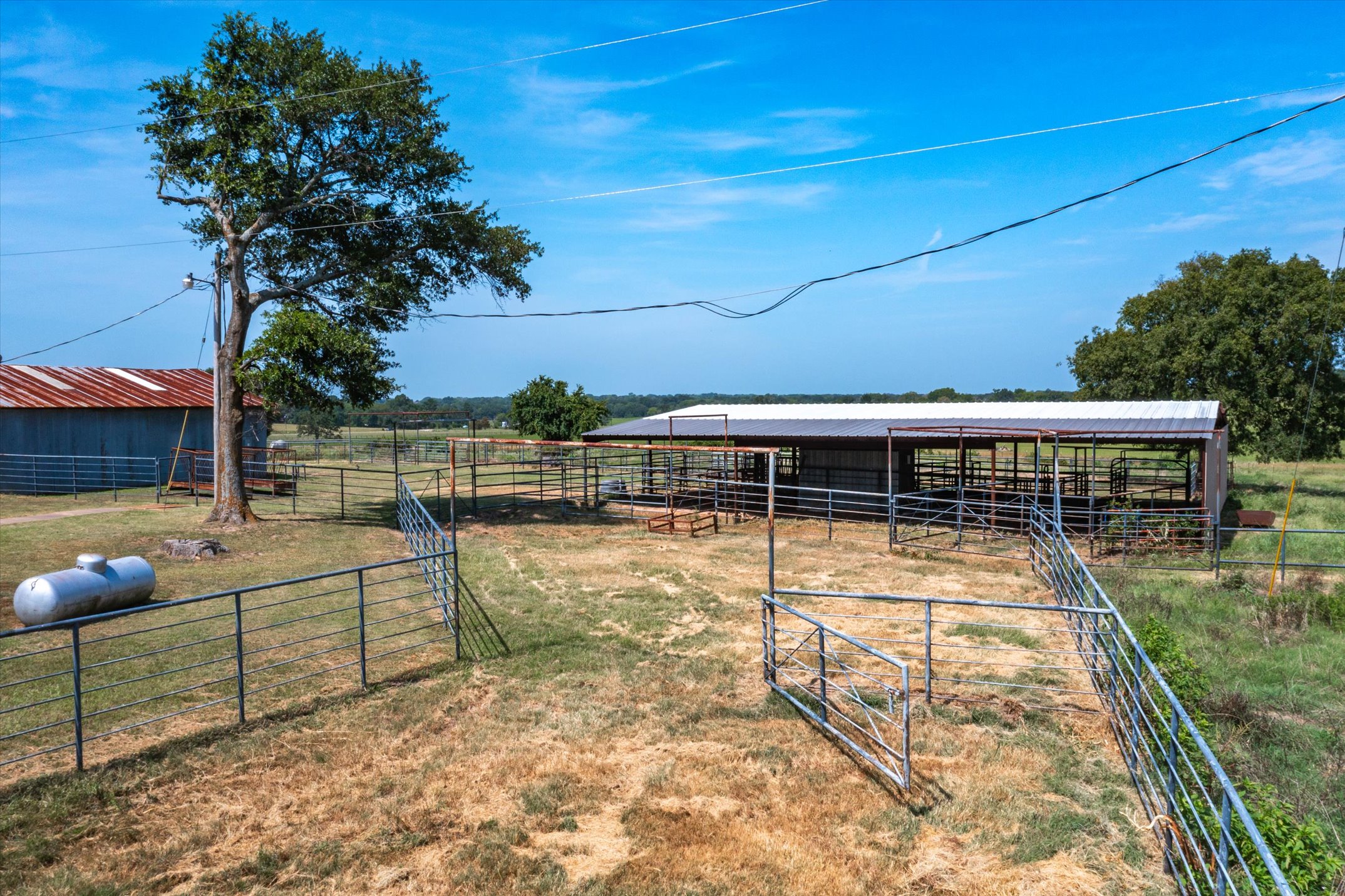 9208 FM 17, Grand Saline, Texas, 75140, United States, 5 Bedrooms Bedrooms, ,6 BathroomsBathrooms,Residential,For Sale,9208 FM 17,1317594