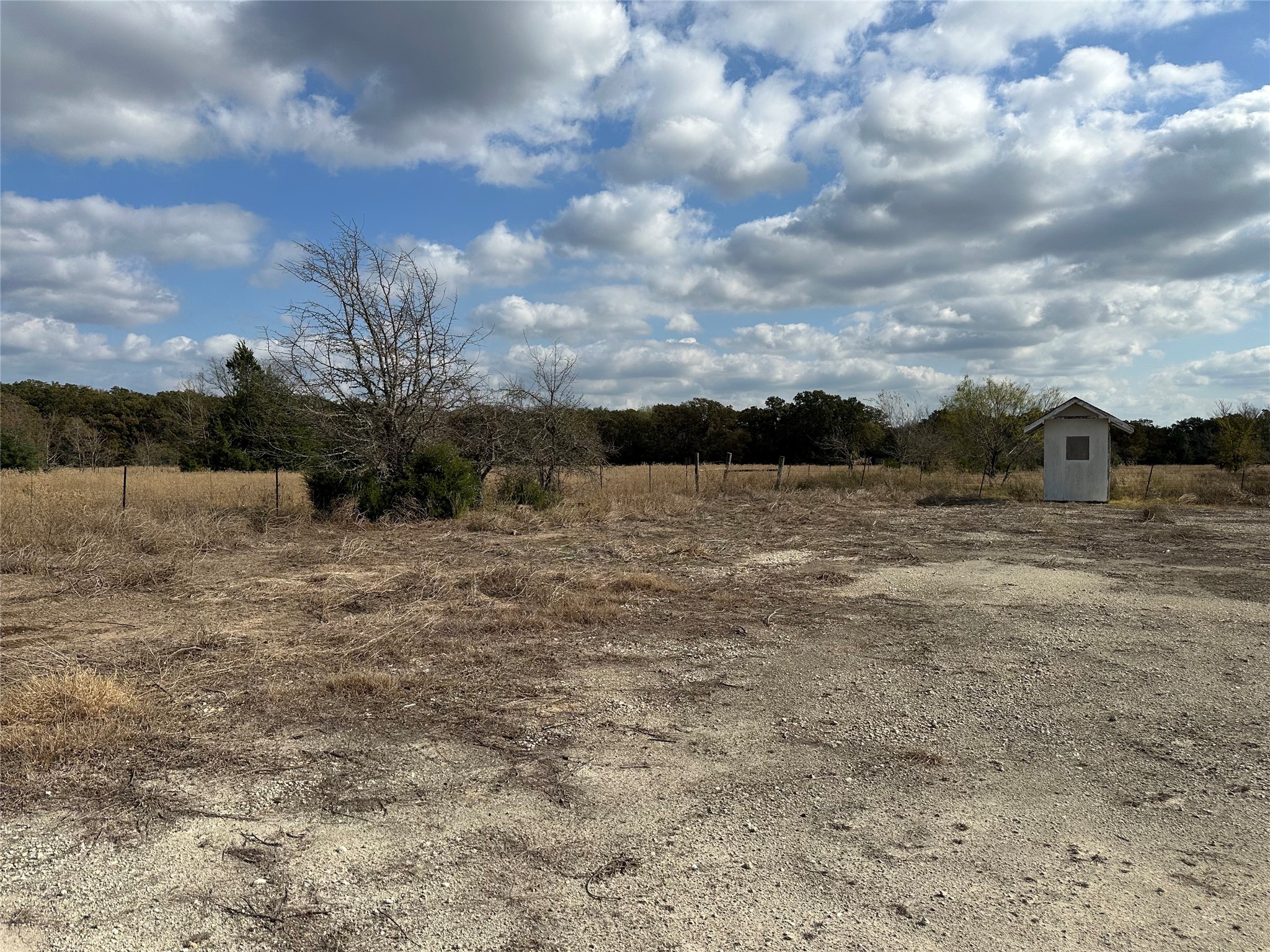 Thornton, Texas, 76687, United States, ,Land,For Sale,1995546