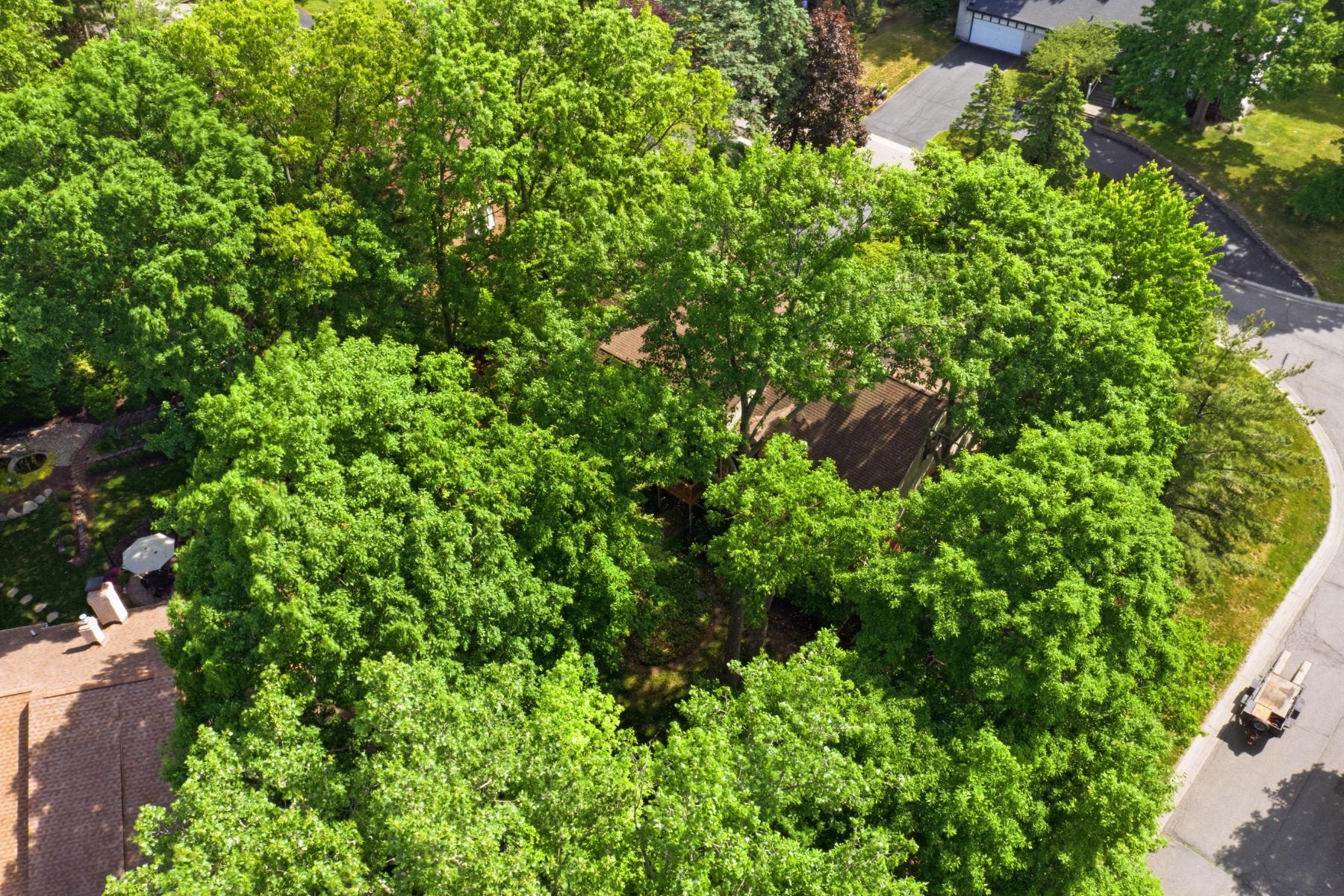  West Bloomfield Township - 物件實景