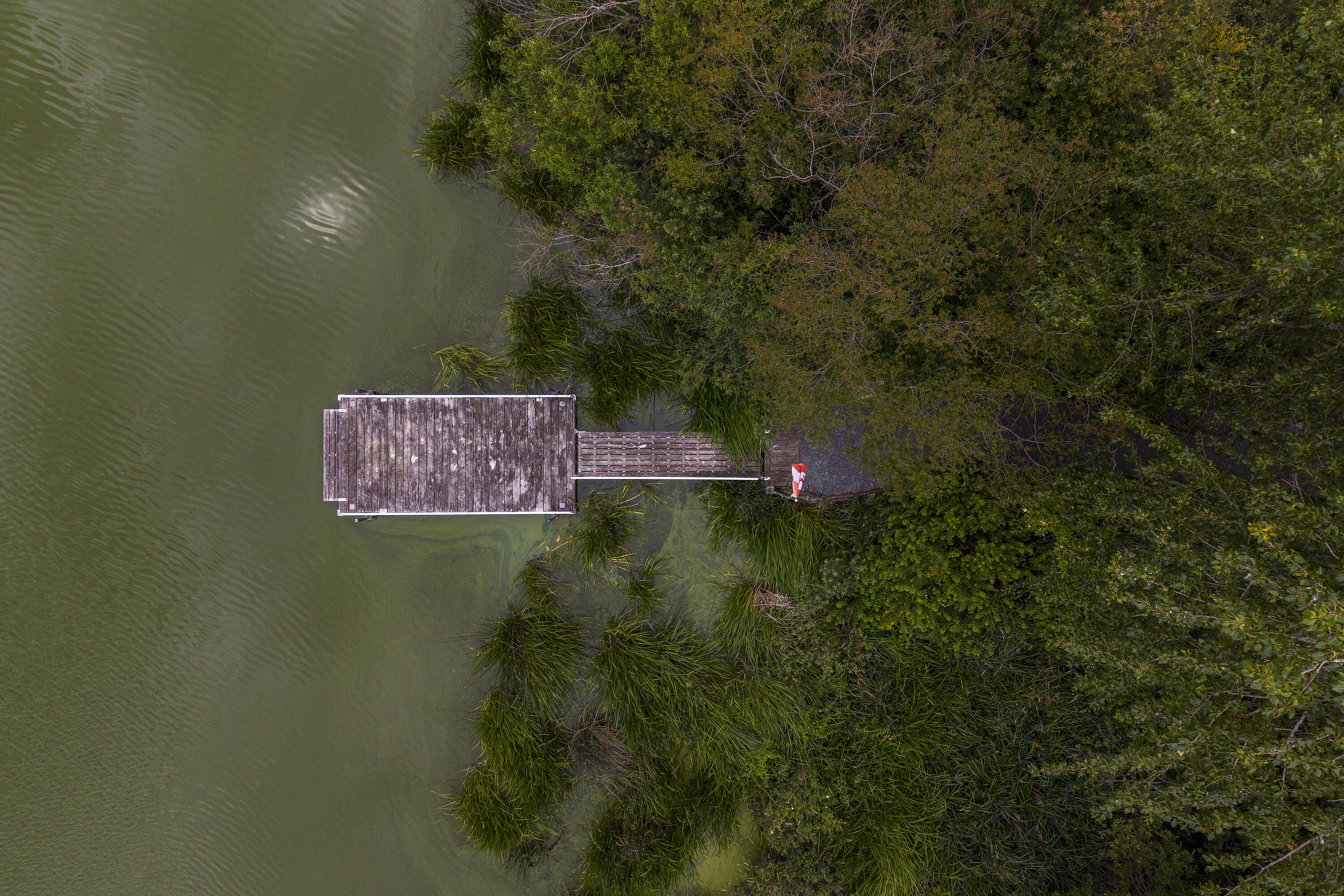  Remarkable Lakefront Estate - 物件實景
