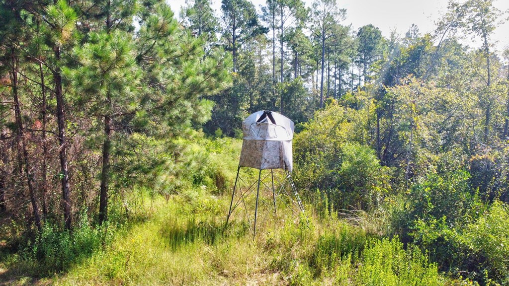 Valdosta, Georgia, 31601, United States, 4 Bedrooms Bedrooms, ,3 BathroomsBathrooms,Residential,For Sale,1980775