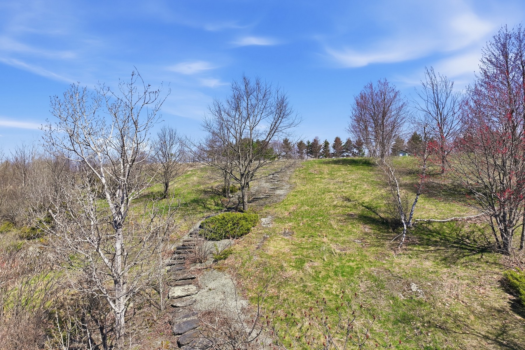  351 Ledgewood Drive - 物件實景