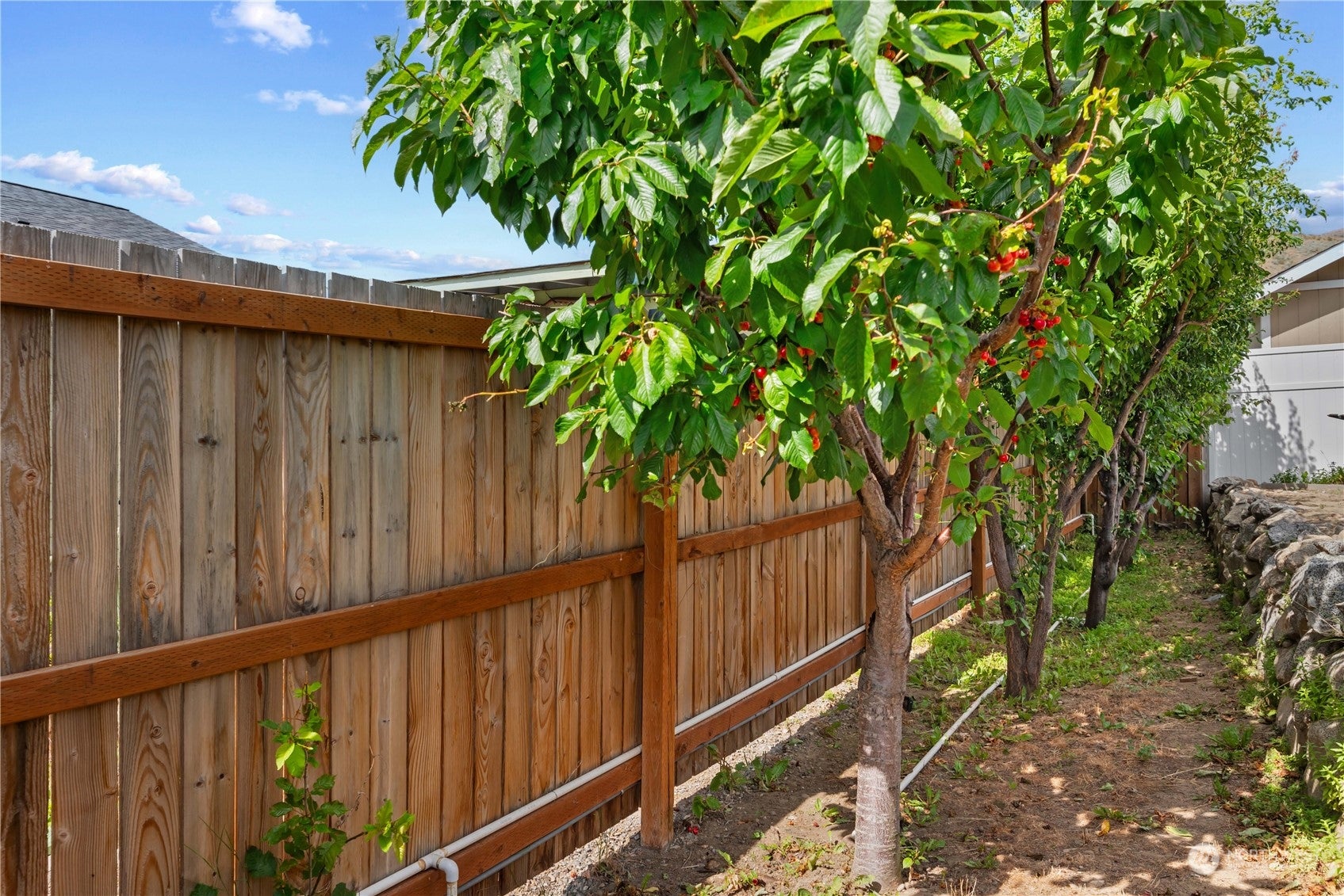 1010 Crest Loop, Entiat, Washington, 98822, United States, 3 Bedrooms Bedrooms, ,3 BathroomsBathrooms,Residential,For Sale,1010 Crest Loop,1592644